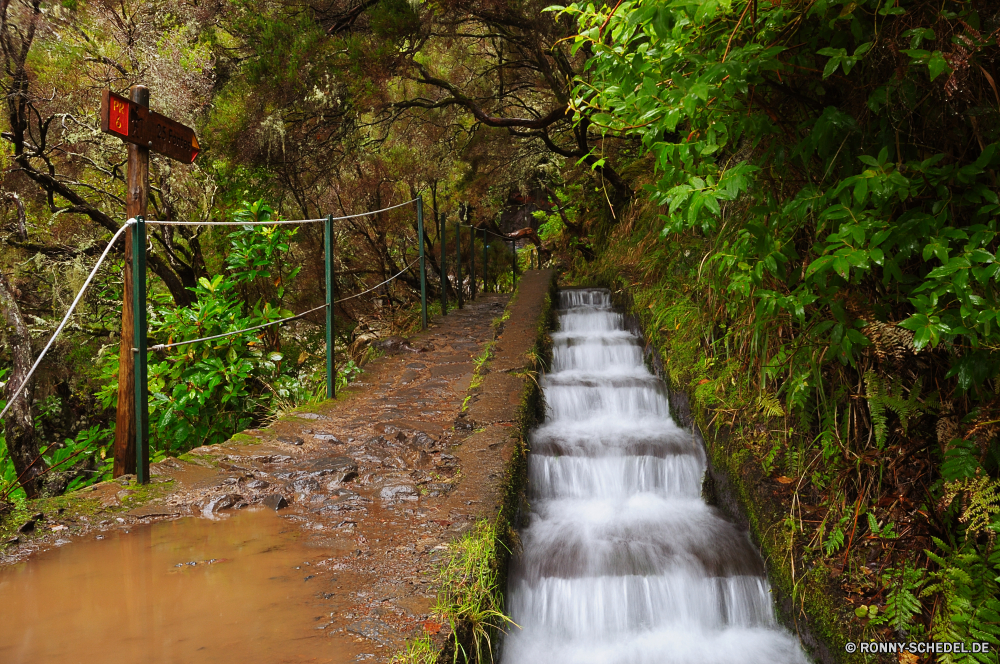 25 Fontes Schritt Unterstützung Landschaft Wald Baum Gerät Aufstieg Park Bäume Fluss Steigung Entwicklung des ländlichen Kanal landschaftlich Gras Pfad im freien Szenerie Straße Körper des Wassers Umgebung Wasser fallen natürliche Land Sommer Landschaft Holz im freien Herbst Stream Berg Stein Reisen Belaubung Frühling Hölzer Blatt Blätter friedliche Garten Art und Weise Track Creek Fels Wanderweg Wildnis Pflanze Wasserfall Berge Wanderweg Wandern Wild zu Fuß Gehweg Moos Saison Sonnenlicht ruhige Himmel Dschungel Sonne frisch Fuß Pflanzen See Tourismus Spur Wanderung durch Mauer Busch sonnig außerhalb fließende Strömung Brücke Feld Urlaub Stoffwechselweg Erholung Farben Boden Nebel Tag Felsen Ökologie am Morgen Licht Wachstum Farbe üppige Tropischer gelassene Perspektive frische Luft Ruhe Frieden entspannende Land bunte Gasse step support landscape forest tree device ascent park trees river slope rural channel scenic grass path outdoor scenery road body of water environment water fall natural country summer countryside wood outdoors autumn stream mountain stone travel foliage spring woods leaf leaves peaceful garden way track creek rock trail wilderness plant waterfall mountains footpath hiking wild walk walkway moss season sunlight tranquil sky jungle sun fresh walking plants lake tourism lane hike through wall bush sunny outside flowing flow bridge field vacation pathway recreation colors ground fog day rocks ecology morning light growth color lush tropical serene perspective freshness calm peace relaxing land colorful alley