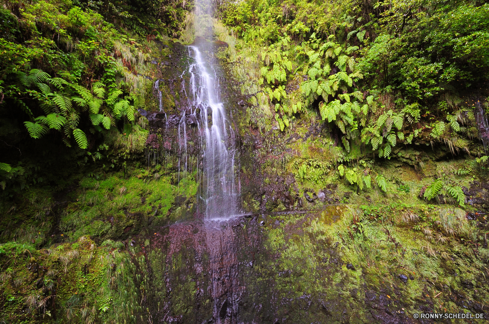 Levada do Caldeirao Verde Brunnen Wasserfall Stream Fluss Struktur Wasser Fels Wald Sprinkler Stein Kaskade Landschaft fällt Baum mechanisches Gerät Park Berg Umgebung im freien Strömung fallen Frühling Reisen Moos fallen Felsen Mechanismus im freien fließende Bewegung Sommer platsch Wildnis Creek natürliche Wild landschaftlich friedliche Wasserfälle nass glatte gelassene Blatt Gerät ruhige Tourismus frisch Bäume Berge Reinigen Pflanze rasche Belaubung Ökologie Szene Kühl felsigen nationalen See Drop Szenerie Bach Geschwindigkeit Abenteuer entspannende Flüsse Holz frische Luft üppige Teich Land Hölzer Herbst Erhaltung Paradies Tropischer Gras Kaskaden Wanderung plantschen klar macht Urlaub seidige Sonnenlicht idyllische gischt Steine Ruhe Frieden erfrischend Stromschnellen kalt Extreme erfrischende Himmel Bereich Reinheit Farbe Erholung Schlucht Tag Saison niemand fountain waterfall stream river structure water rock forest sprinkler stone cascade landscape falls tree mechanical device park mountain environment outdoor flow fall spring travel moss falling rocks mechanism outdoors flowing motion summer splash wilderness creek natural wild scenic peaceful waterfalls wet smooth serene leaf device tranquil tourism fresh trees mountains clean plant rapid foliage ecology scene cool rocky national lake drop scenery brook speed adventure relaxing rivers wood freshness lush pond country woods autumn conservation paradise tropical grass cascades hike splashing clear power vacation silky sunlight idyllic spray stones calm peace refreshment rapids cold extreme refreshing sky area purity color recreation ravine day season nobody