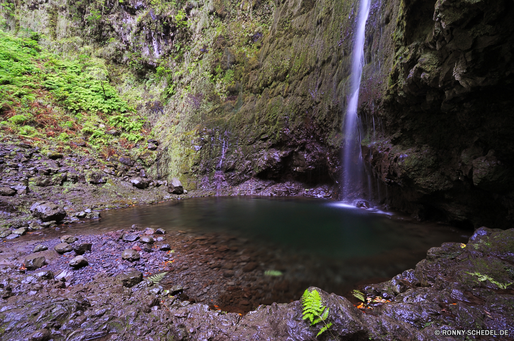 Levada do Caldeirao Verde Brunnen Struktur Wasserfall Sprinkler Fluss Stream mechanisches Gerät Wasser Wald Landschaft Fels Park Kaskade Stein Mechanismus fallen natürliche Baum im freien Moos Berg fließende Reisen fällt Wild Umgebung Strömung Bäume Bewegung friedliche Creek Felsen platsch Gerät Frühling landschaftlich im freien Tourismus nass Sommer gelassene Wildnis frisch glatte ruhige Blatt fallen Wasserfälle Szenerie Berge Drop nationalen Pflanze Reinigen Land Szene Belaubung Kühl Herbst Frieden entspannende felsigen Garten erfrischende Hölzer reine Ökologie üppige Steine Tropischer Saison Geschwindigkeit Landschaft bunte frische Luft Flüsse Entwicklung des ländlichen plantschen Blätter klar Himmel Abenteuer Farbe Urlaub seidige Gras Licht Wandern gischt niemand Erhaltung Entspannung Holz Ruhe Erholung Sonne Wanderung Bewuchs Schwimmbad macht idyllische Sonnenlicht Farben fountain structure waterfall sprinkler river stream mechanical device water forest landscape rock park cascade stone mechanism fall natural tree outdoor moss mountain flowing travel falls wild environment flow trees motion peaceful creek rocks splash device spring scenic outdoors tourism wet summer serene wilderness fresh smooth tranquil leaf falling waterfalls scenery mountains drop national plant clean country scene foliage cool autumn peace relaxing rocky garden refreshing woods pure ecology lush stones tropical season speed countryside colorful freshness rivers rural splashing leaves clear sky adventure color vacation silky grass light hiking spray nobody conservation relaxation wood calm recreation sun hike vegetation pool power idyllic sunlight colors