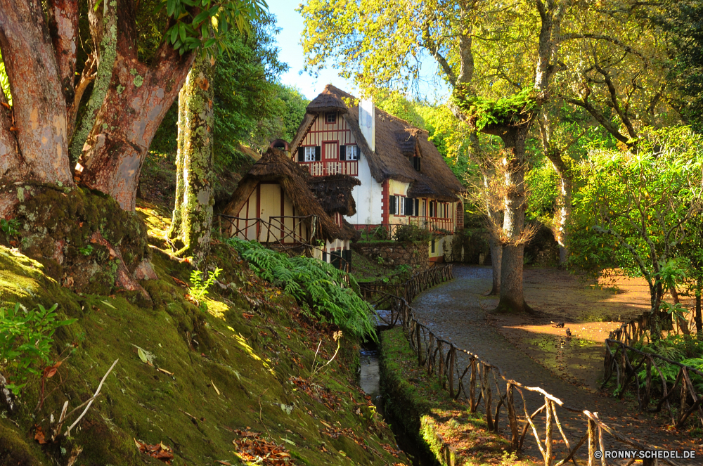 Levada do Caldeirao Verde Baum Haus Gebäude Landschaft Wald Gras Garten Architektur Fluss Startseite Entwicklung des ländlichen woody plant Wasser Sommer Land alt Dach Struktur Himmel Bäume Schuppen Bootshaus vascular plant Park Wohn Immobilien Herbst im freien See Pflanze fallen Brücke Real aus Holz Landschaftsbau Szenerie Holz Bauernhof England Backstein landschaftlich Rasen Bungalow Dorf historischen Landschaft Villa Tourismus bunte Reisen Stein Nebengebäude Frühling Residenz Wohnung Blatt ruhige traditionelle natürliche im freien Eigenschaft Teich Antike Ruhe Geschichte Blätter Stroh Stream Zaun Berg Reflexion Nachbarschaft Kabine Rustikale Wolken Feld Neu Schloss Farben Vororten Ferienhaus Gehäuse Creek Szene Wandern in der Nähe ruhig Tür Palast Pfad idyllische Umgebung Land Belaubung Urlaub Tourist Wahrzeichen Garage Kanal tree house building landscape forest grass garden architecture river home rural woody plant water summer country old roof structure sky trees shed boathouse vascular plant park residential estate autumn outdoors lake plant fall bridge real wooden landscaping scenery wood farm england brick scenic lawn bungalow village historic countryside villa tourism colorful travel stone outbuilding spring residence dwelling leaf tranquil traditional natural outdoor property pond ancient calm history leaves thatch stream fence mountain reflection neighborhood cabin rustic clouds field new castle colors suburbs cottage housing creek scene hiking near quiet door palace path idyllic environment land foliage vacation tourist landmark garage channel