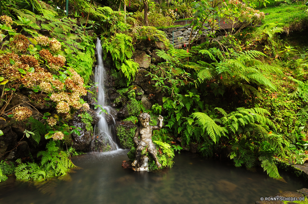 Monte Palace Garden Baum woody plant vascular plant Wald Landschaft Fluss Pflanze Wasser Park Stream Bäume im freien Fels Stein fallen Umgebung Belaubung Berg Wasserfall natürliche friedliche Garten Szenerie Creek Hölzer Herbst landschaftlich Moos Wild Frühling Blätter Sommer Blatt Wildnis Bonsai Tropischer fließende im freien Reisen Strömung Holz Pfad Entwicklung des ländlichen Szene üppige frisch Saison Kaskade Dschungel ruhige nass platsch Wandern Gras Tag gelassene Landschaft Reinigen frische Luft Regen Frieden Wanderweg Tourismus zu Fuß Ökologie entspannende Straße Waldland bunte Sonnenlicht Land sonnig Himmel Berge Farbe Bewegung niemand gelb Branch glatte Urlaub Busch außerhalb Pflanzen Ruhe Licht Farben klar Spur Fuß See Erholung Flora Ahorn Wachstum Blume tree woody plant vascular plant forest landscape river plant water park stream trees outdoor rock stone fall environment foliage mountain waterfall natural peaceful garden scenery creek woods autumn scenic moss wild spring leaves summer leaf wilderness bonsai tropical flowing outdoors travel flow wood path rural scene lush fresh season cascade jungle tranquil wet splash hiking grass day serene countryside clean freshness rain peace trail tourism walk ecology relaxing road woodland colorful sunlight country sunny sky mountains color motion nobody yellow branch smooth vacation bush outside plants calm light colors clear lane walking lake recreation flora maple growth flower