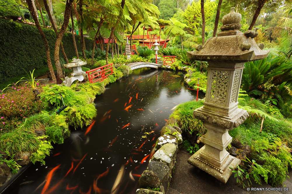 Monte Palace Garden Baum woody plant Garten Architektur Park vascular plant Gebäude Reisen Tourismus Landschaft Wasser alt Bäume Fluss Wald im freien Pflanze Herbst historischen Sommer Struktur fallen Himmel Geschichte friedliche Stein Tempel Fels Wahrzeichen Bonsai Palast Antike Japan Brücke See Wasserfall Teich Gras traditionelle Urlaub Tourist ruhige Szenerie landschaftlich historische Belaubung im freien Dach Stadt Turm Reflexion Stream gelassene Haus Villa Kultur Frieden Blume Religion natürliche Gartenarbeit Orientalische Antik Szene Pflanzen Schloss Blatt entspannende Land Entwicklung des ländlichen Blätter Wild Frühling außerhalb religiöse Denkmal Urlaub Stadt Kaskade Golden Pfad Umgebung Berg Startseite bunte Pagode Creek sonnig ruhig Tropischer Rasen Backstein Resort berühmte aussenansicht verzieren Mauer Topf Brunnen tree woody plant garden architecture park vascular plant building travel tourism landscape water old trees river forest outdoor plant autumn historic summer structure fall sky history peaceful stone temple rock landmark bonsai palace ancient japan bridge lake waterfall pond grass traditional vacation tourist tranquil scenery scenic historical foliage outdoors roof city tower reflection stream serene house villa culture peace flower religion natural gardening oriental antique scene plants castle leaf relaxing country rural leaves wild spring outside religious monument holiday town cascade golden path environment mountain home colorful pagoda creek sunny quiet tropical lawn brick resort famous exterior ornate wall pot fountain