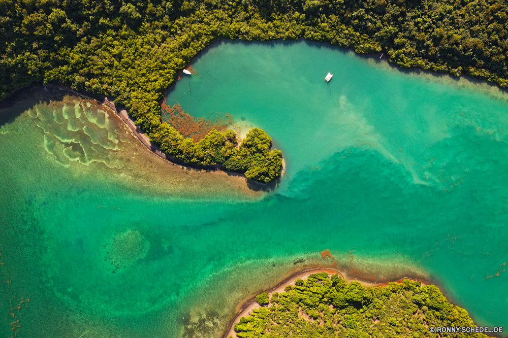 Martinique Coral reef Riff Wasser Meer Grat Ozean Strand Sand Reisen Küste Sommer Landschaft Bucht natürliche Höhe Urlaub Insel Türkis Fels Tropischer Himmel Welle Sonne landschaftlich Paradies Fluss Stream Land Archipel geologische formation Ufer Tourismus sonnig Küste Wasserfall Stein Urlaub seelandschaft im freien Berg Stechrochen Baum Szene ruhige Wald natürliche Erholung Strahl klar Wellen Szenerie Entspannen Sie sich nass Felsen Park Körper des Wassers Frühling Steine Wild idyllische Ziel Boot Wolken Tourist Sonnenlicht Bäume Surf Resort Entspannung Fisch fallen Creek Lagune Urlaub fließende Erde Freizeit Umgebung transparente Kaskade Schwimmbad Wolke bunte Bewegung Marine Reise horizontale Strömung Horizont Boden Flüssigkeit hoch Schwimmen Panorama Abenteuer heiß Reinigen im freien Berge warm Seestern Ruhe Frieden Koralle romantische Tag coral reef reef water sea ridge ocean beach sand travel coast summer landscape bay natural elevation vacation island turquoise rock tropical sky wave sun scenic paradise river stream land archipelago geological formation shore tourism sunny coastline waterfall stone holiday seascape outdoor mountain stingray tree scene tranquil forest natural recreation ray clear waves scenery relax wet rocks park body of water spring stones wild idyllic destination boat clouds tourist sunlight trees surf resort relaxation fish fall creek lagoon vacations flowing earth leisure environment transparent cascade pool cloud colorful motion marine journey horizontal flow horizon soil liquid high swimming panorama adventure hot clean outdoors mountains warm starfish calm peace coral romantic day