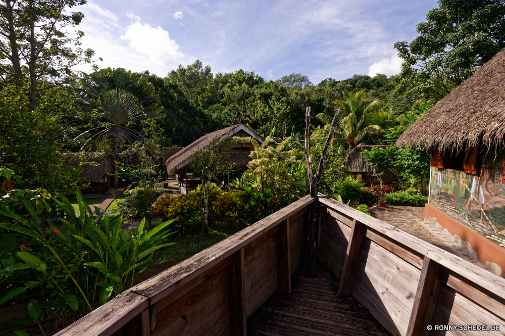 Martinique Baum woody plant vascular plant Tropischer Pflanze Reisen Bäume Gebäude Himmel Landschaft Garten Palm Sommer Tourismus Urlaub Park Wasser landschaftlich im freien Resort Strand Entspannen Sie sich Architektur Pflanzen Struktur friedliche natürliche Paradies Urlaub Insel exotische Blume im freien Haus Pfad Wald sonnig Dschungel Szenerie Hotel Sonne außerhalb Tropen Umgebung Urlaub Blumen Ziel Startseite Meer Küste Flora Ozean Bewuchs Wolken Tag Entspannung grün üppige Schwimmbad Sand Gras Holz Stadt Tourist Gewächshaus alt aus Holz Reiseziele Szene Luxus Sonnenschein Dach ruhige Bereich Wachstum bunte zu Fuß Bonsai idyllische Urlaub Schritt Belaubung aussenansicht Landschaft Entwicklung des ländlichen Blätter Handflächen Fels niemand Wendekreis Strauch Balkon Gartenarbeit Frieden Farbe Religion Sonnenlicht Terrasse Land Agave tree woody plant vascular plant tropical plant travel trees building sky landscape garden palm summer tourism vacation park water scenic outdoor resort beach relax architecture plants structure peaceful natural paradise holiday island exotic flower outdoors house path forest sunny jungle scenery hotel sun outside tropics environment vacations flowers destination home sea coast flora ocean vegetation clouds day relaxation greenery lush pool sand grass wood city tourist greenhouse old wooden destinations scene luxury sunshine roof tranquil area growth colorful walk bonsai idyllic holidays step foliage exterior countryside rural leaves palms rock nobody tropic shrub balcony gardening peace color religion sunlight patio country agave