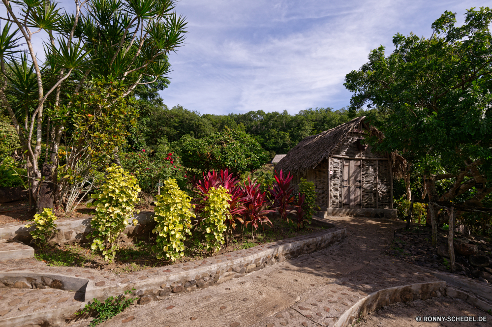 Martinique Baum Garten woody plant Landschaft Pflanze vascular plant Bäume Himmel Sommer Park Entwicklung des ländlichen Gras Wald Feld Pfad im freien im freien Szenerie Saison landschaftlich Blumen natürliche Pflanzen Landwirtschaft fallen Blume Land Tourismus Reisen Strauch bunte Landschaft Scheune Bauernhof Berg Herbst Blatt Umgebung Belaubung friedliche Flora Frühling Blätter Gebäude Szene sonnig Land außerhalb Wolken Straße Farbe Wiese Wolke Frieden ruhige Holz Horizont Wildnis Wasser Busch Fels idyllische Hügel Gartenarbeit Architektur Tag Blüte alt Sonne Berge Farben Struktur frisch Wild Wirtschaftsgebäude Wanderweg Kraut blühen Stein Landbau Botanischer gelassene Licht Blumen blühen See Branch hell Sonnenlicht saisonale tree garden woody plant landscape plant vascular plant trees sky summer park rural grass forest field path outdoors outdoor scenery season scenic flowers natural plants agriculture fall flower country tourism travel shrub colorful countryside barn farm mountain autumn leaf environment foliage peaceful flora spring leaves building scene sunny land outside clouds road color meadow cloud peace tranquil wood horizon wilderness water bush rock idyllic hill gardening architecture day bloom old sun mountains colors structure fresh wild farm building trail herb blooming stone farming botanical serene light blossom lake branch bright sunlight seasonal