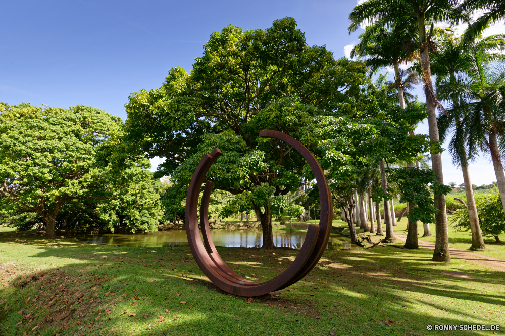 Martinique Baum Einrad Gerät Radfahrzeug Landschaft Unterstützung Speichen Fahrzeug Himmel Park Sommer Bäume woody plant im freien Mechanismus Rad Wald Garten Pflanze Ruder Gras im freien außerhalb Vermittlung Life preserver Reisen alt Schwimmen Ausrüstung vascular plant Szenerie Saison Herbst landschaftlich Feld Farbe fallen steering system Umgebung Stadt Landschaft Entwicklung des ländlichen Szene sonnig leere Zeit Frühling Straße Wiese Blätter Rettungsgeräte Fahrt Rollstuhl groß Holz Tourismus gyroscope Belaubung Straße natürliche gelb Sonne Wetter Flora bunte Fahrrad tree unicycle device wheeled vehicle landscape support spoke vehicle sky park summer trees woody plant outdoors mechanism wheel forest garden plant helm grass outdoor outside conveyance life preserver travel old float equipment vascular plant scenery season autumn scenic field color fall steering system environment city countryside rural scene sunny empty time spring road meadow leaves rescue equipment ride wheelchair tall wood tourism gyroscope foliage street natural yellow sun weather flora colorful bicycle