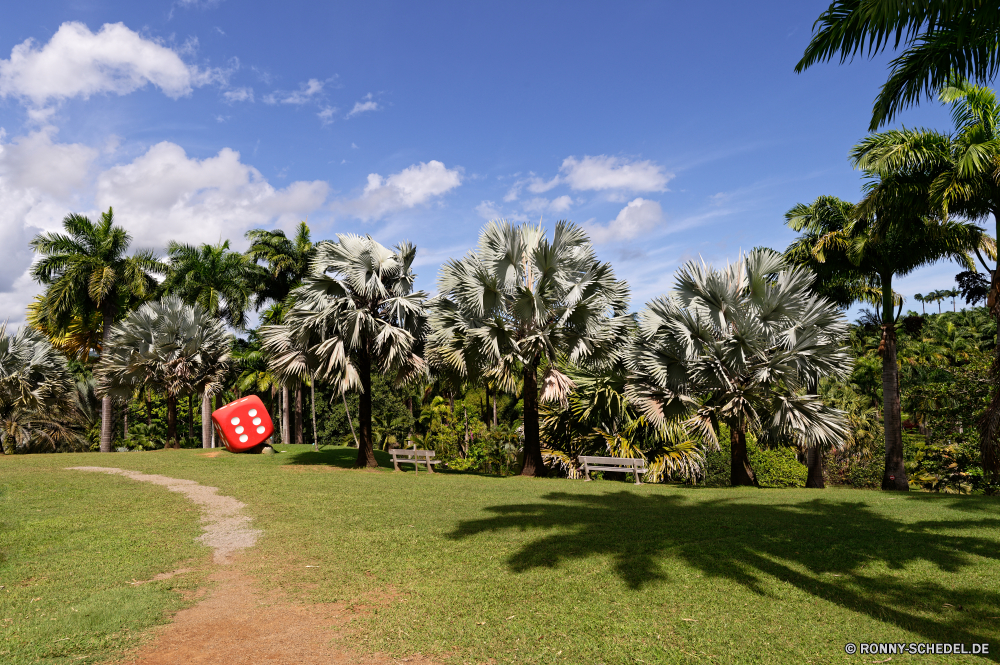 Martinique Baum woody plant Gras Himmel vascular plant Landschaft Pflanze Kokosnuss Sommer Bäume Feld Wolken Entwicklung des ländlichen Golf Palm Park im freien Wiese Tropischer Kurs Wald Reisen Landschaft landschaftlich Frühling Szenerie Strand Szene im freien Blätter friedliche Wolke sonnig Sand Garten Rasen idyllische Urlaub Insel Urlaub Horizont Saison Umgebung Land außerhalb Tourismus Land Hügel Entspannen Sie sich Sport Resort Sonne Ruhe ruhige natürliche Wasser klar bewölkt Pflanzen Blatt Holz Ozean Flora Bewuchs Weide spielen Meer Wetter Bauernhof Farbe Himmel ruhig Tag Klima Pfad Entspannung Freizeit Belaubung Flag Branch exotische am Morgen Erholung Landwirtschaft Paradies wachsen warm Frieden allein bean tree Lebensstil hell Sonnenlicht tree woody plant grass sky vascular plant landscape plant coconut summer trees field clouds rural golf palm park outdoor meadow tropical course forest travel countryside scenic spring scenery beach scene outdoors leaves peaceful cloud sunny sand garden lawn idyllic vacation island holiday horizon season environment land outside tourism country hill relax sport resort sun calm tranquil natural water clear cloudy plants leaf wood ocean flora vegetation pasture play sea weather farm color skies quiet day climate path relaxation leisure foliage flag branch exotic morning recreation agriculture paradise grow warm peace alone bean tree lifestyle bright sunlight