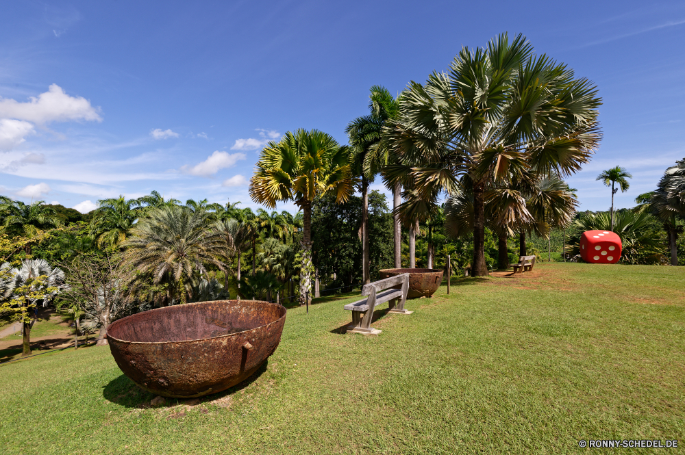 Martinique Baum Palm Tropischer Strand Himmel Reisen Sommer Urlaub Sand woody plant Insel Meer Resort Bäume Paradies Ozean Wasser Entspannen Sie sich vascular plant Pflanze Landschaft Urlaub Tourismus Kokosnuss Garten Entspannung Küste im freien exotische Terrasse Bereich idyllische Küste landschaftlich Sonne Ufer Urlaub Gras Struktur sonnig friedliche Tropen Wendekreis Hotel Bucht Gebäude Szene Luxus Wolken ruhige Park Klima Ziel Ruhe Türkis seelandschaft Villa Haus im freien Schwimmbad aussenansicht niemand heiß Escape Blätter Wolke Tag Reise Wärme Freizeit Szenerie Horizont Palme Handflächen Lagune klar Schwimmen Blatt Blume Pflanzen Holz warm entspannende Tourist Schatten Blumen sandigen außerhalb Botanischer Reise Urlaub Botanik Boot Topf natürliche Frieden Erholung Sonnenlicht Architektur tree palm tropical beach sky travel summer vacation sand woody plant island sea resort trees paradise ocean water relax vascular plant plant landscape holiday tourism coconut garden relaxation coast outdoor exotic patio area idyllic coastline scenic sun shore vacations grass structure sunny peaceful tropics tropic hotel bay building scene luxury clouds tranquil park climate destination calm turquoise seascape villa house outdoors pool exterior nobody hot escape leaves cloud day journey heat leisure scenery horizon palm tree palms lagoon clear swim leaf flower plants wood warm relaxing tourist shadow flowers sandy outside botanical trip holidays botany boat pot natural peace recreation sunlight architecture