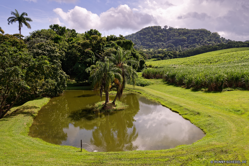 Martinique Baum Landschaft Gras Wald Sommer Himmel Entwicklung des ländlichen Wasser woody plant Frühling Pflanze vascular plant Umgebung Fluss Bäume Landschaft Feld im freien Park im freien Szenerie Land landschaftlich Berg Wiese See Wolken Garten ruhige Reisen natürliche Tal außerhalb Hölzer Saison Szene Rasen Berge Straße Bauernhof Belaubung Land Holz Tag Blatt Hügel klar friedliche Pfad Wolke Ruhe Flora Teich Stream Reflexion Sonne sonnig Kurs aquatische üppige ruhig Busch Landschaften Golf idyllische bewölkt Blume Horizont Sonnenlicht Ufer England Frieden Freizeit Tourismus Wanderweg Hochland Blätter Raps Kanal Loch Stein Kraut Kiefer Licht Landwirtschaft bunte Wild Spur Grünland Sport Ackerland Art und Weise Urlaub Farbe frisch Erholung Wildnis Herbst Ölsaaten tree landscape grass forest summer sky rural water woody plant spring plant vascular plant environment river trees countryside field outdoors park outdoor scenery country scenic mountain meadow lake clouds garden tranquil travel natural valley outside woods season scene lawn mountains road farm foliage land wood day leaf hill clear peaceful path cloud calm flora pond stream reflection sun sunny course aquatic lush quiet bush scenics golf idyllic cloudy flower horizon sunlight shore england peace leisure tourism footpath highland leaves rapeseed channel hole stone herb pine light agriculture colorful wild lane grassland sport farmland way vacations color fresh recreation wilderness autumn oilseed