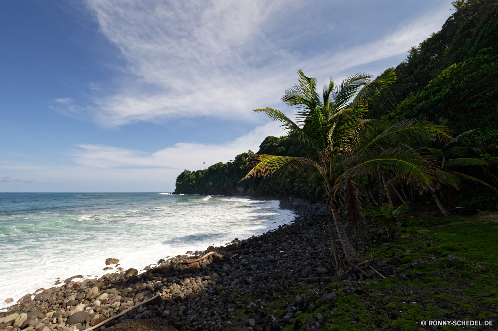 Martinique Küstenlinie Strand Ozean Meer Küste Wasser Vorgebirge Ufer Insel Landschaft Küste Himmel Reisen Urlaub Baum natürliche Höhe Sand Fels Sommer geologische formation Kap Sonne Tropischer Wolke Paradies am Meer landschaftlich Urlaub Bucht Tourismus Palm Bäume Entspannen Sie sich Wolken Welle Stein Surf sonnig seelandschaft Wellen Wald ruhige Felsen Berg Resort Pazifik Horizont Ziel Klippe exotische entspannende Tourist See Erholung Park Hügel im freien Ruhe im freien felsigen Reise Urlaub klar echte Lorbeer am See friedliche Wetter Szenerie Sonnenuntergang Schwimmen Bewuchs Türkis idyllische Entspannung Lagune Szene Angeln Himmel Berge Pflanze nationalen Sonnenlicht shoreline beach ocean sea coast water promontory shore island landscape coastline sky travel vacation tree natural elevation sand rock summer geological formation cape sun tropical cloud paradise seaside scenic holiday bay tourism palm trees relax clouds wave stone surf sunny seascape waves forest tranquil rocks mountain resort pacific horizon destination cliff exotic relaxing tourist lake recreation park hill outdoors calm outdoor rocky trip vacations clear true laurel lakeside peaceful weather scenery sunset swim vegetation turquoise idyllic relaxation lagoon scene fishing heaven mountains plant national sunlight