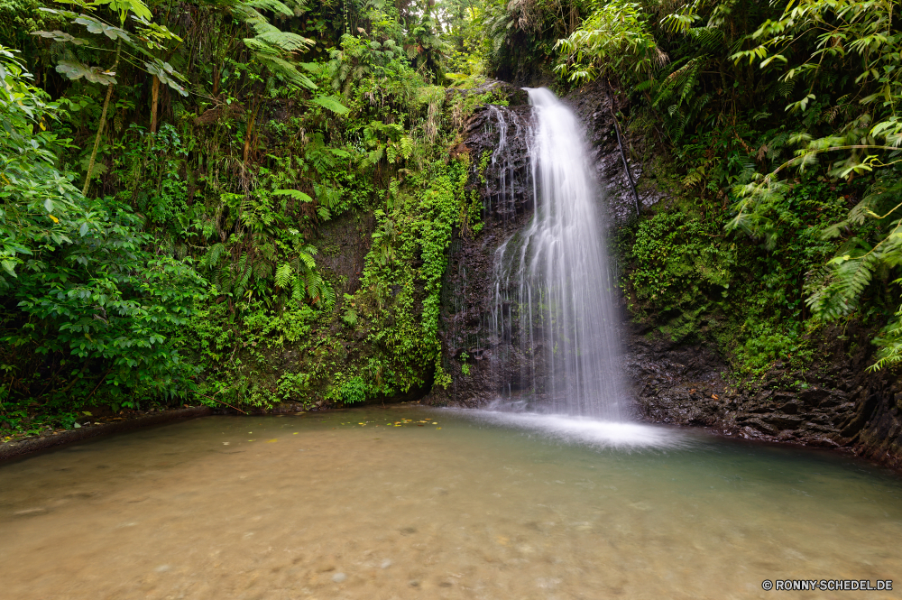 Martinique Wasserfall Brunnen Fluss Stream Wasser Struktur Wildnis Wald Fels Landschaft Kaskade Stein fällt Park Strömung Baum Berg Umgebung im freien Reisen Frühling Moos Creek fallen fließende platsch Wild Kanal natürliche friedliche Felsen nass Sommer landschaftlich Bewegung Körper des Wassers im freien Szenerie fallen frisch Blatt Berge ruhige Szene Tourismus Wasserfälle rasche glatte Drop Kühl Reinigen gelassene Belaubung nationalen Bäume See entspannende Hölzer Tropischer Ökologie Bach Sonnenlicht üppige Pflanze Sprinkler klar Paradies Ruhe Holz Wanderung Herbst reine Geschwindigkeit Frieden Kaskaden Urlaub Dschungel felsigen Saison mechanisches Gerät frische Luft seidige Teich Schwimmbad Abenteuer idyllische Gras Stromschnellen Wandern Steine Reinheit Farbe lebendige niemand waterfall fountain river stream water structure wilderness forest rock landscape cascade stone falls park flow tree mountain environment outdoor travel spring moss creek fall flowing splash wild channel natural peaceful rocks wet summer scenic motion body of water outdoors scenery falling fresh leaf mountains tranquil scene tourism waterfalls rapid smooth drop cool clean serene foliage national trees lake relaxing woods tropical ecology brook sunlight lush plant sprinkler clear paradise calm wood hike autumn pure speed peace cascades vacation jungle rocky season mechanical device freshness silky pond pool adventure idyllic grass rapids hiking stones purity color vibrant nobody