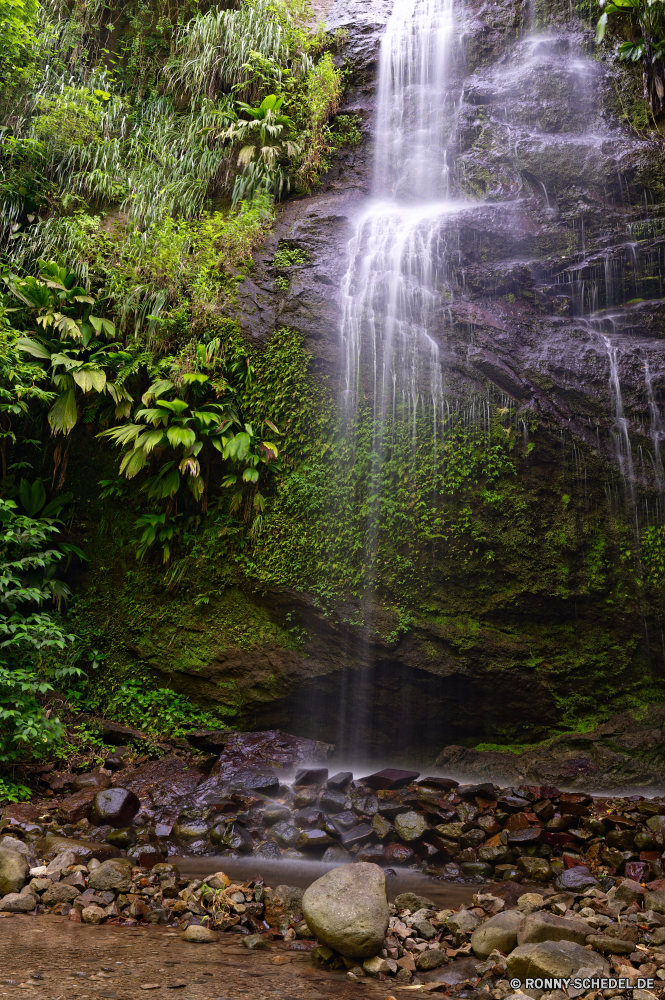 Martinique Fluss Wald Kanal Landschaft Stream Baum Wasser Wasserfall Körper des Wassers Wildnis Park Stein Fels Berg Kaskade Umgebung im freien Creek Frühling Sommer fallen Wild Moos Bäume landschaftlich natürliche Pflanze fließende Strömung Belaubung friedliche Felsen Reisen nass Szenerie fällt Gras Blatt Berge üppige Reinigen im freien vascular plant frisch platsch Holz Hölzer ruhige Bewegung Saison Szene See Garten Herbst Tourismus Ökologie Land Tropischer nationalen fallen Entwicklung des ländlichen glatte woody plant Dschungel frische Luft Sonnenlicht gelassene Blätter entspannende Land klar Wasserfälle rasche Kühl Teich Wandern Steine Paradies Ruhe Licht Drop Sonne Frieden Himmel Urlaub Erholung Wasserpflanze Flüsse Tag Landschaften niemand Regen Pflanzen Geschwindigkeit Sprinkler aquatische Bach Wanderung Busch Pfad Landschaft am Morgen river forest channel landscape stream tree water waterfall body of water wilderness park stone rock mountain cascade environment outdoor creek spring summer fall wild moss trees scenic natural plant flowing flow foliage peaceful rocks travel wet scenery falls grass leaf mountains lush clean outdoors vascular plant fresh splash wood woods tranquil motion season scene lake garden autumn tourism ecology land tropical national falling rural smooth woody plant jungle freshness sunlight serene leaves relaxing country clear waterfalls rapid cool pond hiking stones paradise calm light drop sun peace sky vacation recreation aquatic plant rivers day scenics nobody rain plants speed sprinkler aquatic brook hike bush path countryside morning