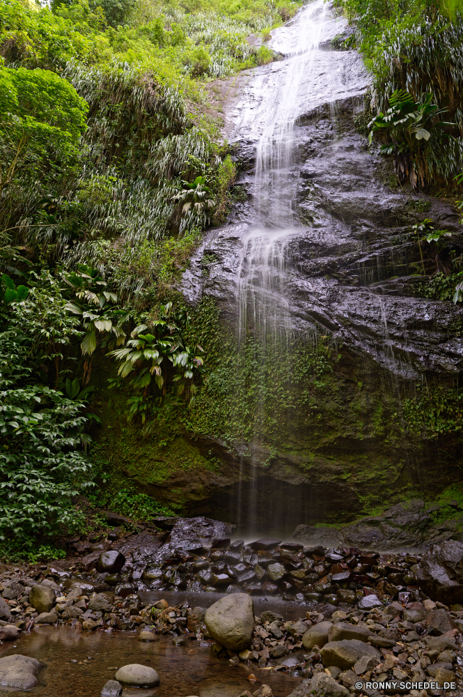 Martinique Baum Wald Fluss woody plant Landschaft Wasser Bäume vascular plant Wildnis Park Berg Pflanze Stream Frühling im freien Umgebung Sommer Fels Stein natürliche Belaubung Wasserfall Reisen landschaftlich Land im freien Szenerie Gras Hölzer Moos Berge nass friedliche fallen Saison fließende Wild ruhige üppige Blatt Felsen Holz Blätter Creek Szene See Strömung Kanal Entwicklung des ländlichen Kaskade Sonne Wandern Tag Branch Dschungel frische Luft frisch Sumpf Tropischer southern beech Himmel Landschaften Herbst Regen Körper des Wassers Frieden Sonnenlicht Wanderweg gelassene Kiefer platsch nationalen am Morgen Schlucht Flora Land Busch Klima Pfad idyllische niemand Feuchtgebiet Ruhe Kofferraum Bewuchs sonnig Bewegung Abenteuer Reinigen Garten Landschaft fallen Teich Bereich Tourismus Ökologie Reflexion glatte Erholung Farben Wachstum tree forest river woody plant landscape water trees vascular plant wilderness park mountain plant stream spring outdoor environment summer rock stone natural foliage waterfall travel scenic land outdoors scenery grass woods moss mountains wet peaceful fall season flowing wild tranquil lush leaf rocks wood leaves creek scene lake flow channel rural cascade sun hiking day branch jungle freshness fresh swamp tropical southern beech sky scenics autumn rain body of water peace sunlight trail serene pine splash national morning canyon flora country bush climate path idyllic nobody wetland calm trunk vegetation sunny motion adventure clean garden countryside falling pond area tourism ecology reflection smooth recreation colors growth