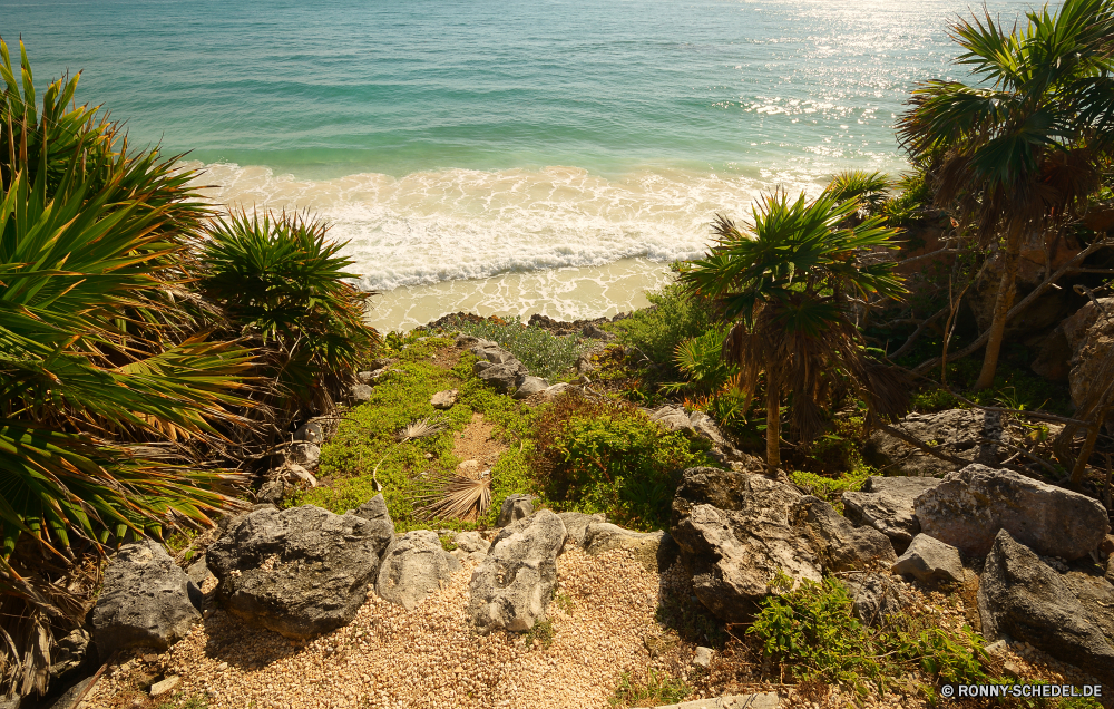 Tulum Baum Sand Meer Ozean Strand Küste woody plant Urlaub Wasser Himmel Palm Reisen Landschaft Sommer Insel Ufer Tropischer Paradies vascular plant Sea urchin Küste Urlaub Tourismus landschaftlich Entspannen Sie sich Stachelhäuter Sonne Pflanze Bucht seelandschaft Fels Wirbellose Wolken exotische Boden Wolke sonnig Horizont Resort Bäume im freien Szene Türkis ruhige idyllische friedliche Tier Entspannung am Meer Ziel Küstenlinie Welle Stein Sonnenlicht Kokosnuss Felsen Berg Wellen Ruhe Erde Wüste Tourist Szenerie Sonnenuntergang Erholung natürliche sandigen entspannende im freien Wendekreis Urlaub Berge Kiefer Frieden Klippe Wald Handflächen Tropen klar Pazifik Tag hell Himmel Marine Klima Steine Reise cabbage tree nationalen Flora Lagune Koralle felsigen Landschaften Hügel Freizeit Urlaub Strauch Frühling romantische am See tree sand sea ocean beach coast woody plant vacation water sky palm travel landscape summer island shore tropical paradise vascular plant sea urchin coastline holiday tourism scenic relax echinoderm sun plant bay seascape rock invertebrate clouds exotic soil cloud sunny horizon resort trees outdoor scene turquoise tranquil idyllic peaceful animal relaxation seaside destination shoreline wave stone sunlight coconut rocks mountain waves calm earth desert tourist scenery sunset recreation natural sandy relaxing outdoors tropic vacations mountains pine peace cliff forest palms tropics clear pacific day bright heaven marine climate stones trip cabbage tree national flora lagoon coral rocky scenics hill leisure holidays shrub spring romantic lakeside