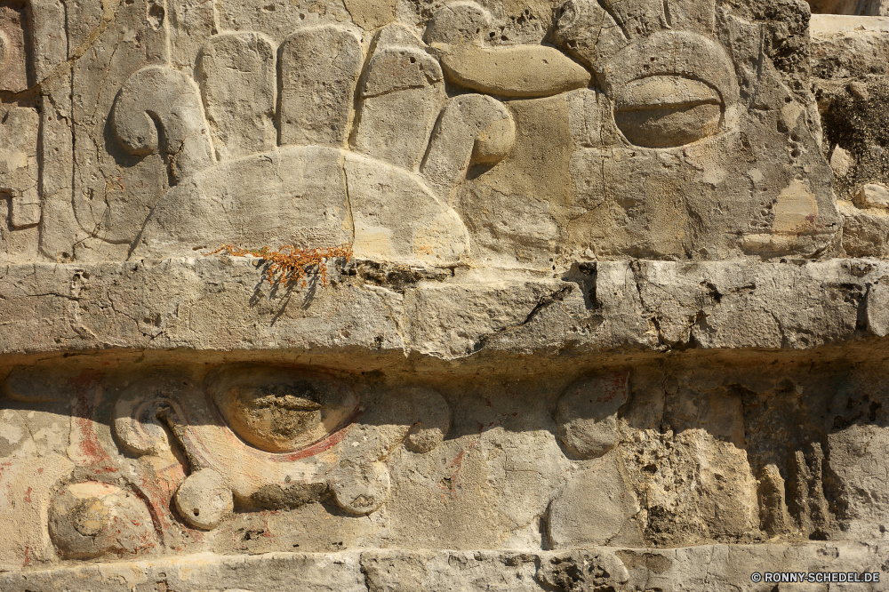 Tulum Mauer Textur Stein Oberfläche alt Rau Backstein Gliederfüßer Muster texturierte Wirbellose schmutzig Material Steinmauer Architektur Verwittert Struktur Detail Fels Zement Zaun Grunge Braun Beton Schließen Antike Hundertfüßer geknackt Gebäude Bau Hintergrund Barrier im Alter von Baumaterial Antik Tier Hintergründe Steine Wirkung Tapete Stuck Urban closeup Farbe Mauerwerk Granit solide zu knacken Holz im freien Backsteine horizontale grau Geschichte Verfall Grunge natürliche historische Fliese Rinde Stadt Obstruktion Ton Geologie Retro veraltet beschädigt Texturen aussenansicht malen Jahrgang Mauerwerk aus Holz Alterung Block Schmutz Orange Baum Gestaltung Mineral Schichten defekt Fassade Fleck gelb rostige Haus Sandstein Schutt und Asche Risse Putz aufgegeben Ruine Marmor gebaut getragen hart horseshoe crab wall texture stone surface old rough brick arthropod pattern textured invertebrate dirty material stone wall architecture weathered structure detail rock cement fence grunge brown concrete close ancient centipede cracked building construction backdrop barrier aged building material antique animal backgrounds stones effect wallpaper stucco urban closeup color masonry granite solid crack wood outdoors bricks horizontal gray history decay grungy natural historical tile bark city obstruction clay geology retro obsolete damaged textures exterior paint vintage brickwork wooden aging block dirt orange tree design mineral layers broken facade stain yellow rusty house sandstone rubble cracks plaster abandoned ruins marble built worn hard horseshoe crab