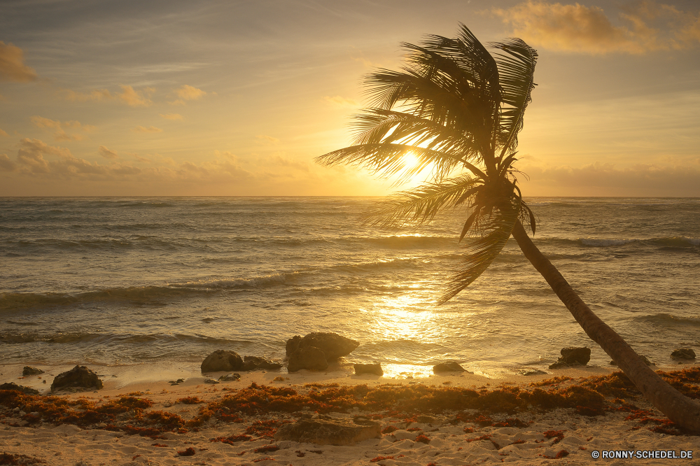 Akumal Bay Strand Ozean Sonnenuntergang Meer Sonne Himmel Sand Wasser Küste Reisen Insel Sonnenaufgang Tropischer Horizont Landschaft Welle Küste Urlaub Kontur Ufer Sommer Dämmerung Urlaub Palm Paradies Wolken 'Nabend Wolke am Meer Morgenröte Wellen Reflexion friedliche seelandschaft Baum Tourismus Entspannen Sie sich idyllische Orange landschaftlich ruhige Bucht im freien Ruhe sonnig Küstenlinie Bäume Ziel Boot Wetter Nacht klar Himmel Golden im freien Szenerie Entspannung Klima Licht Fels Szene Resort am Morgen romantische Sonnenlicht Dämmerung dramatische warm natürliche bunte Kokosnuss Reiseziele bewölkt Sonnenschein See Frieden entspannende Tourist Gezeiten Meeresküste Wendekreis Surf außerhalb Urlaub Urlaub Menschen Farbe Küste Türkis Landschaften gelassene dunkel Wind Freizeit Romantik Saison beach ocean sunset sea sun sky sand water coast travel island sunrise tropical horizon landscape wave coastline vacation silhouette shore summer dusk holiday palm paradise clouds evening cloud seaside dawn waves reflection peaceful seascape tree tourism relax idyllic orange scenic tranquil bay outdoor calm sunny shoreline trees destination boat weather night clear heaven golden outdoors scenery relaxation climate light rock scene resort morning romantic sunlight twilight dramatic warm natural colorful coconut destinations cloudy sunshine lake peace relaxing tourist tide seashore tropic surf outside vacations holidays people color coastal turquoise scenics serene dark wind leisure romance season