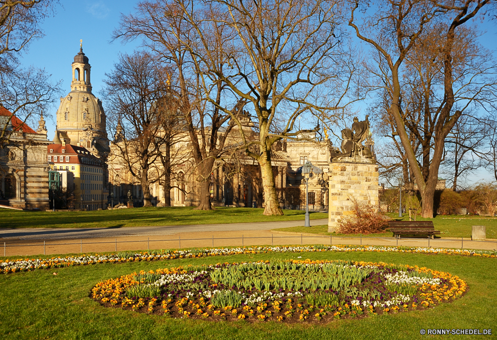 Dresden im Frühling Friedhof Baum Garten Park Landschaft Gras Palast Bäume Himmel Blume Universität Reisen Grabstein Wald gelb Herbst Gebäude Sommer Gedenkstätte im freien Struktur Pflanze Architektur Stein Flora Feld Blumen Tourismus Pfad Frühling im freien Haus Pflanzen Residenz fallen Rasen Saison Belaubung Blatt Blätter Straße Geschichte friedliche Tourist Landschaft Wiese Entwicklung des ländlichen landschaftlich Wasser Farbe Kultur alt Gartenarbeit außerhalb Leuchten natürliche Branch Licht Umgebung Brunnen England sonnig bunte berühmte See Szenerie Land saisonale Szene Golden Ornamental Perspektive Denkmal Religion Bauernhof Gärten grün Teich Wolken Holz Stadt Schloss Farben cemetery tree garden park landscape grass palace trees sky flower university travel gravestone forest yellow autumn building summer memorial outdoor structure plant architecture stone flora field flowers tourism path spring outdoors house plants residence fall lawn season foliage leaf leaves road history peaceful tourist countryside meadow rural scenic water color culture old gardening outside shine natural branch light environment fountain england sunny colorful famous lake scenery country seasonal scene golden ornamental perspective monument religion farm gardens greenery pond clouds wood city castle colors