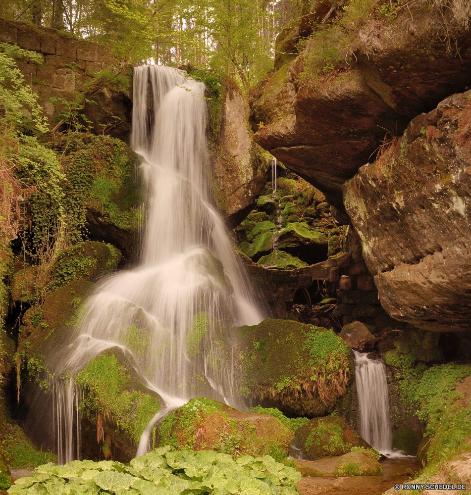 Lichtenhainer Wasserfall Wasserfall Brunnen Fluss Stream Wasser Fels Wald Landschaft Struktur Stein Kaskade fällt Park Moos Baum Berg Strömung fallen fließende Felsen im freien Umgebung Frühling Creek natürliche platsch nass Bewegung Sommer Wild im freien Reisen friedliche Berge landschaftlich frisch Szenerie Wildnis Pflanze Drop Kühl fallen Blatt Reinigen Tourismus Sanitär-Befestigung nationalen rasche Belaubung glatte ruhige frische Luft felsigen reine Ökologie Bäume klar See Ruhe Leuchte Geschwindigkeit Frieden Holz üppige Hölzer Steine gelassene Szene Reinheit erfrischend Kaskaden Wasserfälle vascular plant Herbst Abenteuer SWIFT seidige woody plant Wanderweg Wandern Gras Tropischer Urlaub Stromschnellen Bach Wanderung plantschen erfrischende Saison Garten idyllische Paradies macht Farbe Tal Bonsai Erholung Sonnenlicht Belichtung niemand kalt Teich Landschaften Entspannen Sie sich Bewegung Harmonie Schlucht Tag waterfall fountain river stream water rock forest landscape structure stone cascade falls park moss tree mountain flow fall flowing rocks outdoor environment spring creek natural splash wet motion summer wild outdoors travel peaceful mountains scenic fresh scenery wilderness plant drop cool falling leaf clean tourism plumbing fixture national rapid foliage smooth tranquil freshness rocky pure ecology trees clear lake calm fixture speed peace wood lush woods stones serene scene purity refreshment cascades waterfalls vascular plant autumn adventure swift silky woody plant trail hiking grass tropical vacation rapids brook hike splashing refreshing season garden idyllic paradise power color valley bonsai recreation sunlight exposure nobody cold pond scenics relax movement harmony canyon day