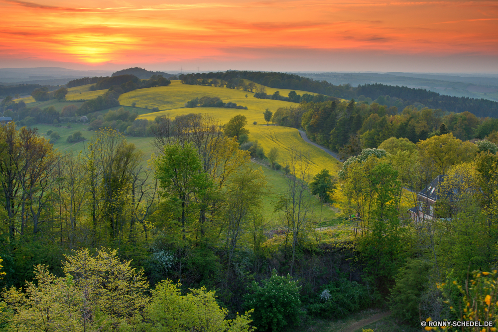 Wilisch Stechginster Landschaft Strauch Schlucht Berg Tal Baum Himmel Wald woody plant Raps Berge Schlucht Herbst Park Reisen fallen Fluss Ölsaaten Bäume vascular plant Szenerie landschaftlich im freien Entwicklung des ländlichen Pflanze Saison Gras Sommer Tourismus Wolken Sonne Wasser gelb nationalen im freien Wolke Umgebung See Samen Feld Szene Fels Landschaft Wiese natürliche Hügel Land Orange Hölzer Blatt Farbe bunte Tag sonnig Stein natürliche depression Frühling Belaubung Licht Sonnenuntergang Holz Hügel Wildnis Wandern Obst Bereich Blätter Land Horizont Landschaften Klippe Landwirtschaft friedliche Urlaub Bereich Reflexion Wüste Viadukt am Morgen Spitze Brücke Tourist Wetter Bauernhof Sonnenlicht Busch Felsen bewölkt Hochland Ruhe Wahrzeichen Felge Südwesten saisonale Grand Westen hell Panorama Pfad ruhige Stream klar Golden gelassene horizontale Sonnenaufgang Braun Frieden Branch Straße Flora Farben gorse landscape shrub canyon mountain valley tree sky forest woody plant rapeseed mountains ravine autumn park travel fall river oilseed trees vascular plant scenery scenic outdoor rural plant season grass summer tourism clouds sun water yellow national outdoors cloud environment lake seed field scene rock countryside meadow natural hill country orange woods leaf color colorful day sunny stone natural depression spring foliage light sunset wood hills wilderness hiking fruit range leaves land horizon scenics cliff agriculture peaceful vacation area reflection desert viaduct morning peak bridge tourist weather farm sunlight bush rocks cloudy highland calm landmark rim southwest seasonal grand west bright panorama path tranquil stream clear golden serene horizontal sunrise brown peace branch road flora colors