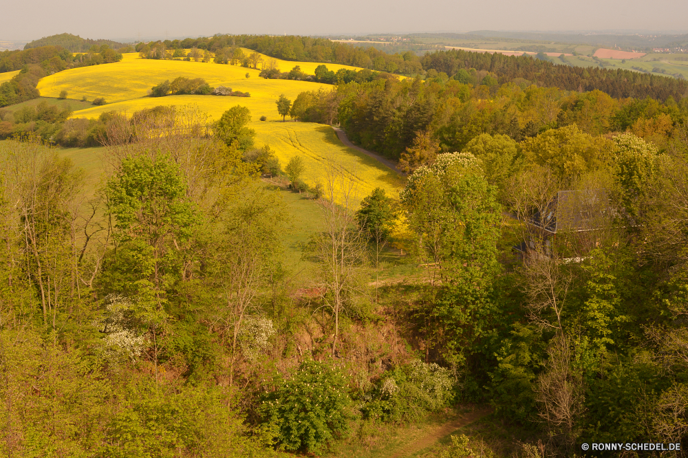 Wilisch Stechginster Strauch woody plant vascular plant Landschaft Pflanze Baum Himmel Feld Entwicklung des ländlichen Herbst gelb Wiese Gras im freien Szenerie Saison Sommer Landwirtschaft Wald fallen Berg Landschaft Horizont landschaftlich Raps Szene Bauernhof Bäume Sonne Umgebung Frühling natürliche Park Land Farbe Blatt Wolken Land bunte Blume Ölsaaten im freien Wolke Landbau sonnig Reisen Belaubung Samen Hügel Wasser Blätter Sonnenlicht Holz wachsen Berge außerhalb Tal Tag Flora klar See Fluss Wachstum Licht Blumen friedliche hell Weide Hölzer Branch Orange Tourismus Ackerland Bewuchs Landschaften nationalen am Morgen saisonale Busch Wolkengebilde Golden idyllische Ernte Ernte bewölkt Pflanzen Blumen blühen Frieden Farben Garten gelassene Blüte Braun ruhige Obst lebendige gorse shrub woody plant vascular plant landscape plant tree sky field rural autumn yellow meadow grass outdoor scenery season summer agriculture forest fall mountain countryside horizon scenic rapeseed scene farm trees sun environment spring natural park land color leaf clouds country colorful flower oilseed outdoors cloud farming sunny travel foliage seed hill water leaves sunlight wood grow mountains outside valley day flora clear lake river growth light flowers peaceful bright pasture woods branch orange tourism farmland vegetation scenics national morning seasonal bush cloudscape golden idyllic harvest crop cloudy plants blossom peace colors garden serene bloom brown tranquil fruit vibrant