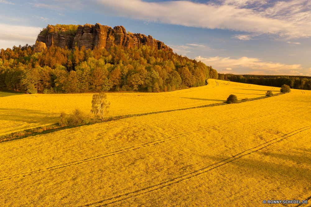 Pfaffenstein Raps Ölsaaten Samen Obst Feld Landschaft Entwicklung des ländlichen Landwirtschaft Bauernhof Landschaft Himmel Wiese gelb Baum Gras Land Pflanze Sommer Wolke Herbst Landbau Szenerie Ackerland Land im freien landschaftlich Frühling Saison Ernte Umgebung Senf Wolken Horizont Ernte wachsen Szene sonnig fallen natürliche Felder Bäume Vergewaltigung im freien Wald außerhalb bunte Berg Berge Blume landwirtschaftlichen Tag bewölkt Reisen Farbe Blatt Weide wachsende Sonne Golden Kraut Sonnenlicht Reiner Blüte hell Wachstum vascular plant Hügel Korn Blumen blühen ruhige Tal Hügel Weizen idyllische Heu Ökologie Park Straße Licht Prärie Blumen Wolkengebilde Pflanzen Wasser Wetter Flora Fluss lebendige Blätter rapeseed oilseed seed fruit field landscape rural agriculture farm countryside sky meadow yellow tree grass country plant summer cloud autumn farming scenery farmland land outdoor scenic spring season crop environment mustard clouds horizon harvest grow scene sunny fall natural fields trees rape outdoors forest outside colorful mountain mountains flower agricultural day cloudy travel color leaf pasture growing sun golden herb sunlight plain bloom bright growth vascular plant hill grain blossom tranquil valley hills wheat idyllic hay ecology park road light prairie flowers cloudscape plants water weather flora river vibrant leaves