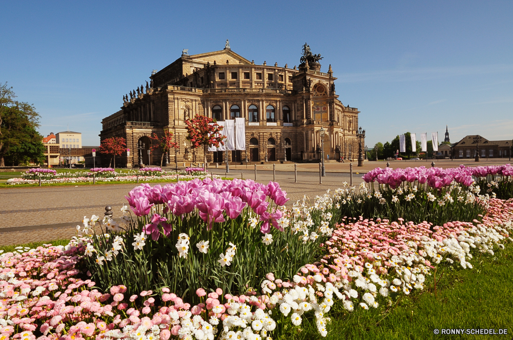 Semperoper in Dresden Tulpe Garten Pflanze Blume Blumen Park Gebäude Architektur Frühling Reisen Sommer Baum Landschaft Pflanzen Gras Himmel Tourismus Flora Palast bunte Bäume Struktur Feld im freien Stadt Denkmal Rosa Bedder Geschichte Gartenarbeit Haus berühmte sonnig Blumen blühen Blüte im freien Schule Wahrzeichen Saison Wasser Floral Tag Gartenpflanze Tempel Rasen Platz Stein Blatt historischen Schloss Tulpen saisonale blühen Kultur natürliche Wolken aussenansicht Landschaft alt Religion Residenz gelb außerhalb Bett Ziel Farbe Kirche Tourist lila Sonne landschaftlich Szene Zaun Stadt friedliche Szenerie frisch Entwicklung des ländlichen Land tulip garden plant flower flowers park building architecture spring travel summer tree landscape plants grass sky tourism flora palace colorful trees structure field outdoor city monument pink bedder history gardening house famous sunny blossom bloom outdoors school landmark season water floral day garden plant temple lawn place stone leaf historic castle tulips seasonal blooming culture natural clouds exterior countryside old religion residence yellow outside bed destination color church tourist purple sun scenic scene fence town peaceful scenery fresh rural country