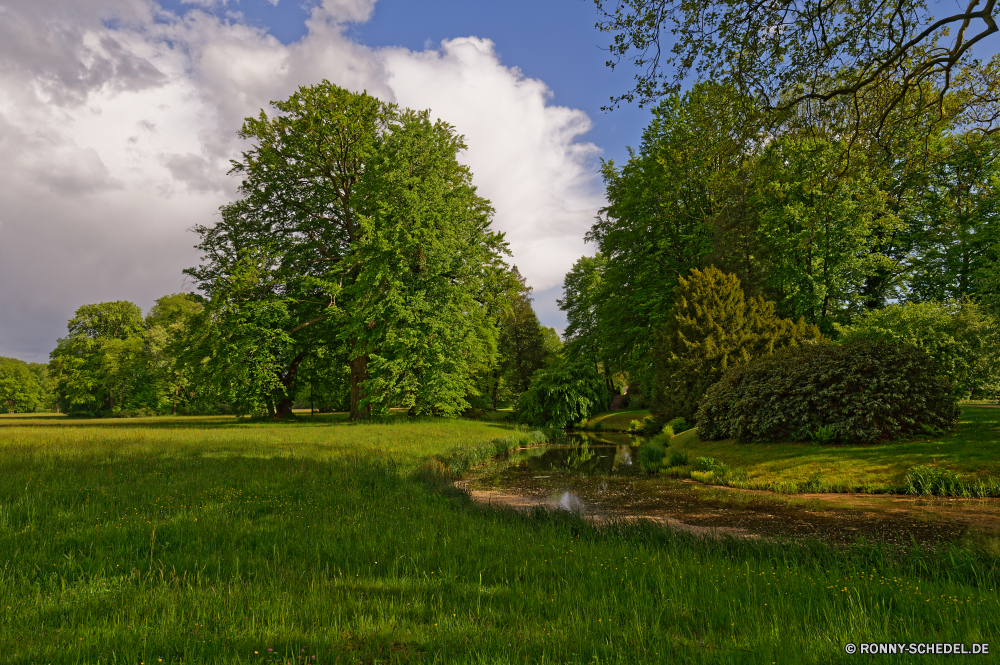 Fürst Pückler Park Bad Muskau Baum woody plant Landschaft Gras Park Wald Himmel vascular plant Pflanze Saison Entwicklung des ländlichen Herbst Blatt Bäume Landschaft Branch Frühling Wiese Feld Sommer Blätter Umgebung Raps fallen im freien im freien Land friedliche Belaubung gelb Wolken Holz Ölsaaten natürliche Horizont Sonnenlicht Land Szene Flora Szenerie Bauernhof Sonne sonnig bewölkt Pfad Garten landschaftlich bunte Samen Pappel Ahorn Tag Frieden Wolke Weide Hölzer Wetter Eiche Farbe Licht klar außerhalb Zweige ruhig Rasen Orange Farben hell Ruhe Klima Obst Birke frisch Ökologie See ruhige Raum Straße Einsamkeit Landwirtschaft idyllische Leuchten Solitäre Jahreszeiten üppige Golden Hügel Reisen alt eine Braun Wachstum Grünland saisonale Kofferraum Wandern Wolkengebilde Perspektive Gold am Morgen Linden Schatten Wasser Wanderweg Spur Leben Aussicht leere Teich Bewuchs Landbau Sonnenschein einzelne allein Cassia Sonnenuntergang Fluss Weide tree woody plant landscape grass park forest sky vascular plant plant season rural autumn leaf trees countryside branch spring meadow field summer leaves environment rapeseed fall outdoors outdoor land peaceful foliage yellow clouds wood oilseed natural horizon sunlight country scene flora scenery farm sun sunny cloudy path garden scenic colorful seed poplar maple day peace cloud pasture woods weather oak color light clear outside branches quiet lawn orange colors bright calm climate fruit birch fresh ecology lake tranquil space road solitude agriculture idyllic shine solitary seasons lush golden hill travel old one brown growth grassland seasonal trunk hiking cloudscape perspective gold morning linden shadow water footpath lane life vista empty pond vegetation farming sunshine single alone cassia sunset river willow