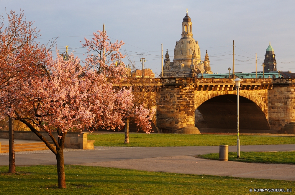 Dresden im Frühling Architektur Palast Gebäude Wahrzeichen Reisen Schloss Turm Stadt Kirche Tourismus berühmte Geschichte Residenz alt Kloster Kathedrale Festung Denkmal Fluss historischen Brücke Haus Religion historische Struktur Kultur Himmel Kuppel Befestigung Stadt Antike religiöse Residenz Urban Tempel Stadtansicht aussenansicht Hauptstadt Universität Platz Dach Tourist Defensive Struktur Gebäude Wohnung mittelalterliche Wasser England Backstein Stein Landschaft Straße traditionelle Orthodoxe Museum Kreuz Gras Roman Baum Mauer Sommer architektonische Tag Platz glauben Attraktion Bogen Stil landschaftlich Urlaub Kapelle Besichtigungen Häuser heilig St. Reiseziele groß im freien Zentrum religiöse Ziel im freien Urlaub Reflexion nationalen Sonnenuntergang Sonnenlicht architecture palace building landmark travel castle tower city church tourism famous history residence old monastery cathedral fortress monument river historic bridge house religion historical structure culture sky dome fortification town ancient religious residence urban temple cityscape exterior capital university place roof tourist defensive structure buildings dwelling medieval water england brick stone landscape street traditional orthodox museum cross grass roman tree wall summer architectural day square faith attraction arch style scenic holiday chapel sightseeing houses holy saint destinations great outdoor center religious destination outdoors vacation reflection national sunset sunlight