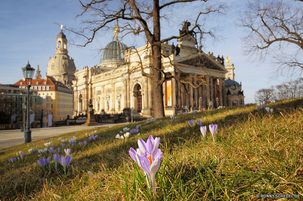 Dresden im Frühling Palast Architektur Gebäude Schloss Kirche alt Struktur Reisen Befestigung berühmte Religion Stadt Tourismus Geschichte Wahrzeichen Kuppel Himmel Kathedrale historischen Turm Haus Residenz Defensive Struktur Antike Denkmal Tempel Kultur aussenansicht Stein historische Landschaft traditionelle Baum Urban Platz Stadt Universität Kloster Szene Tourist Orthodoxe Gras gebaut mittelalterliche Fluss England Bau im freien Spiritualität Stadtansicht religiöse Wohnung Bäume Erbe Mauer Wolke Park Stil Reiseziele Gott Kreuz Backstein Kunst nationalen Platz Gold Wasser Hauptstadt Klassische Gebäude Ziel Garten Dach Nacht Roman Museum heilig St. glauben Statue Osten Urlaub Straße gelb Friedhof Fassade Sommer palace architecture building castle church old structure travel fortification famous religion city tourism history landmark dome sky cathedral historic tower house residence defensive structure ancient monument temple culture exterior stone historical landscape traditional tree urban place town university monastery scene tourist orthodox grass built medieval river england construction outdoors spirituality cityscape religious dwelling trees heritage wall cloud park style destinations god cross brick art national square gold water capital classical buildings destination garden roof night roman museum holy saint faith statue east vacation street yellow cemetery facade summer