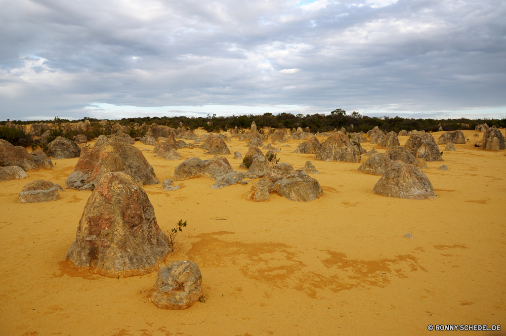 The Pinnacles Sand Boden Erde Landschaft Wüste Himmel Strand Fels Reisen Berg Meer Wolken Stein trocken Tal Sommer Tourismus im freien Wolke Ozean Insel Park Hügel landschaftlich Schlucht Düne Wasser Horizont Felsen Berge Klippe Arid Urlaub niemand nationalen im freien Küste Wildnis Landschaften Wärme Sonne Geologie Sonnenuntergang Land Klima Küste bewölkt Welle natürliche Tag Extreme Umgebung Sandstein Sonnenlicht Ufer Sonnenaufgang sonnig Szenerie Bereich entfernten Abenteuer Szene Reise Meeresschildkröte Tropischer Baum Urlaub gelb felsigen Spitze Busch Wild Braun Wolkengebilde horizontale heiß Orange Gelände Toten Hügel Bereich Steine Ziel Wetter Straße Licht Fluss Dürre Südwesten Meeresküste dramatische Schildkröte Schmutz Wellen Pflanze Tourist ruhige Schnee Küstenlinie Darm-Trakt Schlucht sand soil earth landscape desert sky beach rock travel mountain sea clouds stone dry valley summer tourism outdoors cloud ocean island park hill scenic canyon dune water horizon rocks mountains cliff arid vacation nobody national outdoor coast wilderness scenics heat sun geology sunset land climate coastline cloudy wave natural day extreme environment sandstone sunlight shore sunrise sunny scenery range remote adventure scene journey sea turtle tropical tree holiday yellow rocky peak bush wild brown cloudscape horizontal hot orange terrain dead hills area stones destination weather road light river drought southwest seashore dramatic turtle dirt waves plant tourist tranquil snow shoreline tract ravine