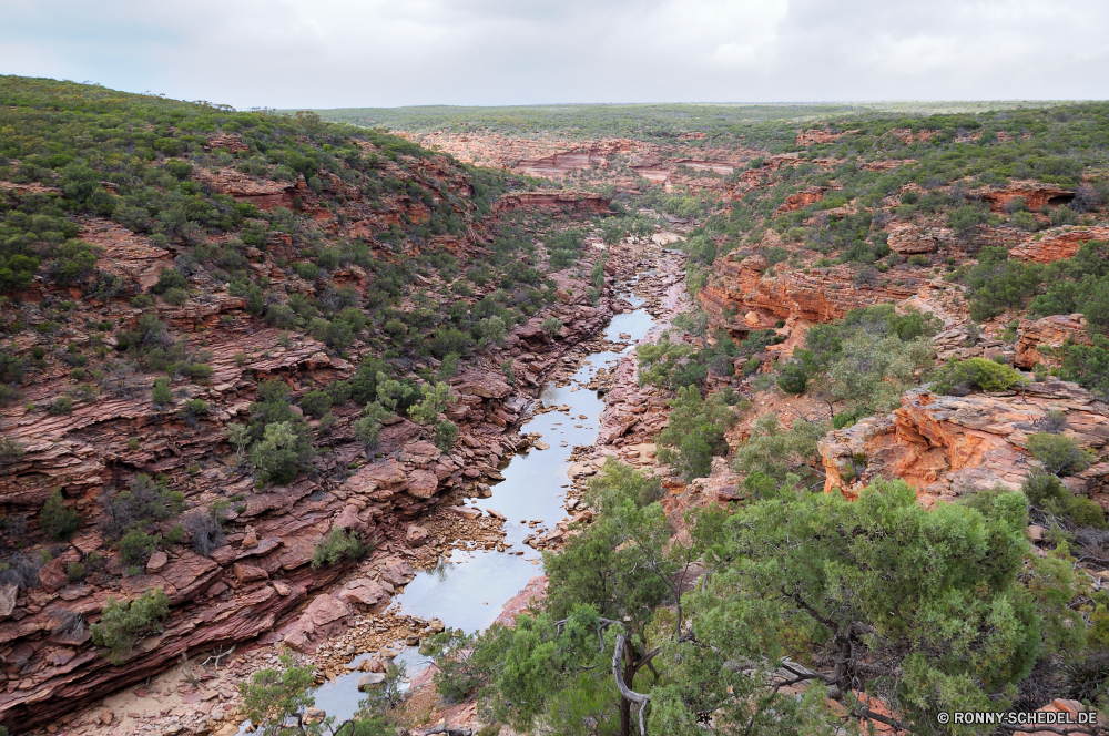 Kalbarri National Park Schlucht Baum Landschaft Berg Park Himmel Wüste woody plant Fels nationalen Reisen Tal Berge vascular plant Wolken landschaftlich Tourismus Stein Wildnis Urlaub im freien Strauch Aushöhlung Klippe Wandern Orange Felsen Sand Geologie Südwesten im freien Tourist Abenteuer Felge Pflanze Westen Szenerie Fluss geologische Sandstein Grand Wahrzeichen Bäume Mesa Wunder Sommer Schlucht Wald Süden Farbe Bildung natürliche Saison Wolke Hochland Welt bunte gelb Hügel sonnig Sumach fallen Kraut Umgebung Spitze Szene Wasser Stadt Land Herbst Sonne Panorama Licht Stadt alt Straße Erholung Bereich Kiefer Aussicht Antike Zustand Bereich hell natürliche depression Reise Heide Knoll Gras Meer Architektur Wanderweg Feld Holz friedliche Entwicklung des ländlichen Blatt Urban canyon tree landscape mountain park sky desert woody plant rock national travel valley mountains vascular plant clouds scenic tourism stone wilderness vacation outdoor shrub erosion cliff hiking orange rocks sand geology southwest outdoors tourist adventure rim plant west scenery river geological sandstone grand landmark trees mesa wonder summer ravine forest south color formation natural season cloud highland world colorful yellow hill sunny sumac fall herb environment peak scene water city land autumn sun panorama light town old road recreation range pine vista ancient state area bright natural depression trip heath knoll grass sea architecture trail field wood peaceful rural leaf urban