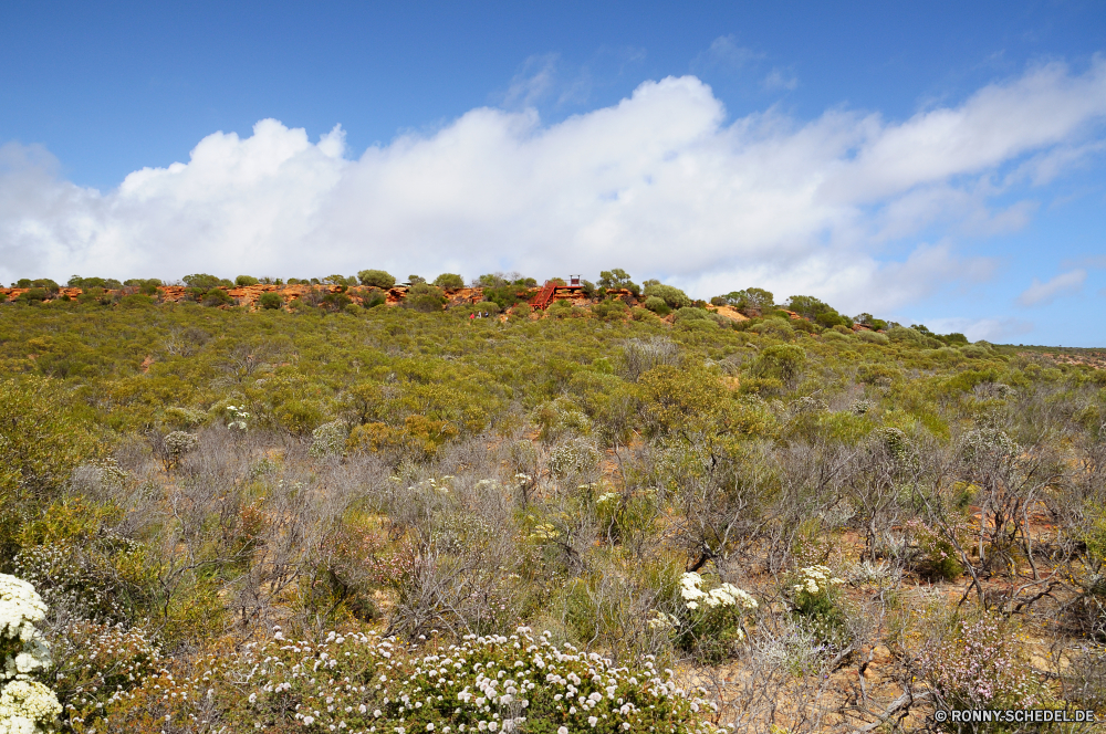 Kalbarri National Park Landschaft Baum Berg Pflanze vascular plant Himmel Berge Strauch woody plant landschaftlich Gras Reisen Sommer im freien Hügel Wolken Park Hochland Kaktus Entwicklung des ländlichen Herbst Wald Fels Kraut Frühling Szenerie Wiese Bäume Bereich Land fallen Tal Wüste Saison Landschaft Wolke Feld Reiner Tourismus Umgebung natürliche Hügel im freien Panorama Steppe Szene Landwirtschaft Horizont Sonne Belaubung gelb Spitze Tag Wildnis Stein Blatt nationalen Wasser Landschaften Abenteuer Blume sonnig Sonnenlicht Schlucht Blätter Wandern Farbe friedliche Urlaub Bauernhof Land Bereich Felsen Pflanzen Insel ruhige Wachstum bunte Südwesten Mount Westen außerhalb Wolkengebilde idyllische Holz Nach oben Ruhe Wetter Straße Flora Fluss Meer landscape tree mountain plant vascular plant sky mountains shrub woody plant scenic grass travel summer outdoors hill clouds park highland cactus rural autumn forest rock herb spring scenery meadow trees range land fall valley desert season countryside cloud field plain tourism environment natural hills outdoor panorama steppe scene agriculture horizon sun foliage yellow peak day wilderness stone leaf national water scenics adventure flower sunny sunlight canyon leaves hiking color peaceful vacation farm country area rocks plants island tranquil growth colorful southwest mount west outside cloudscape idyllic wood top calm weather road flora river sea