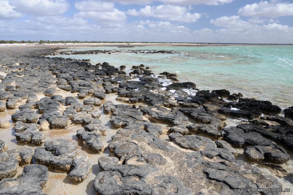 Hamelin Pool Wellenbrecher Barrier Obstruktion Meer Struktur Wasser Strand Ozean Landschaft Küste Küstenlinie Ufer Sand Reisen Küste Fels Himmel Welle Insel Urlaub Stein Sommer Felsen Wellen Bucht im freien Sonne landschaftlich Tourismus seelandschaft Urlaub Entspannen Sie sich Wolke Surf ruhige Horizont See Szenerie Tropischer im freien Steine Szene friedliche Tag klar Gezeiten am Meer Sonnenuntergang Baum natürliche Berg Klippe Reflexion idyllische Paradies sonnig Ruhe Entspannung Fluss Meeresküste Küste Ziel Wolken Freizeit Erholung felsigen Landschaften Umgebung Wetter romantische niemand Pazifik Sturm ruhig Park nass Sonnenlicht Saison breakwater barrier obstruction sea structure water beach ocean landscape coast shoreline shore sand travel coastline rock sky wave island vacation stone summer rocks waves bay outdoor sun scenic tourism seascape holiday relax cloud surf tranquil horizon lake scenery tropical outdoors stones scene peaceful day clear tide seaside sunset tree natural mountain cliff reflection idyllic paradise sunny calm relaxation river seashore coastal destination clouds leisure recreation rocky scenics environment weather romantic nobody pacific storm quiet park wet sunlight season