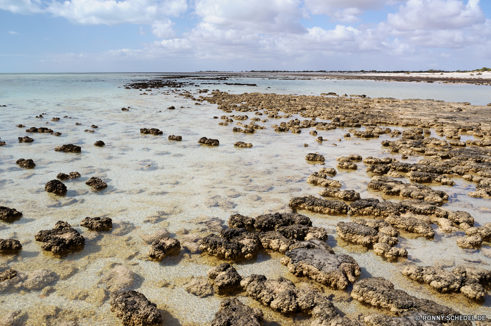 Hamelin Pool Küstenlinie Strand Ozean Meer Wasser Sand Küste Landschaft Reisen Himmel Urlaub Ufer Welle Barrier Sandbank Sommer Wellen Insel Küste Bar Tropischer Sonne Tourismus landschaftlich Entspannen Sie sich am Meer Urlaub Fels Grat Stein Entspannung Surf Paradies Felsen ruhige Wellenbrecher sonnig Bucht seelandschaft im freien Horizont Wolke Szenerie Wolken Erholung natürliche Höhe See klar Szene Freizeit im freien friedliche Reflexion Ziel natürliche sandigen geologische formation idyllische Resort Baum Obstruktion Gezeiten Fluss Meeresküste Reise Tag Sonnenschein romantische Sonnenlicht Klippe Küste ruhig Saison niemand platsch Sonnenuntergang Berg Pazifik Landschaften gelassene heiß Platz Körper des Wassers Wärme Ruhe allein shoreline beach ocean sea water sand coast landscape travel sky vacation shore wave barrier sandbar summer waves island coastline bar tropical sun tourism scenic relax seaside holiday rock ridge stone relaxation surf paradise rocks tranquil breakwater sunny bay seascape outdoor horizon cloud scenery clouds recreation natural elevation lake clear scene leisure outdoors peaceful reflection destination natural sandy geological formation idyllic resort tree obstruction tide river seashore trip day sunshine romantic sunlight cliff coastal quiet season nobody splash sunset mountain pacific scenics serene hot place body of water heat calm alone