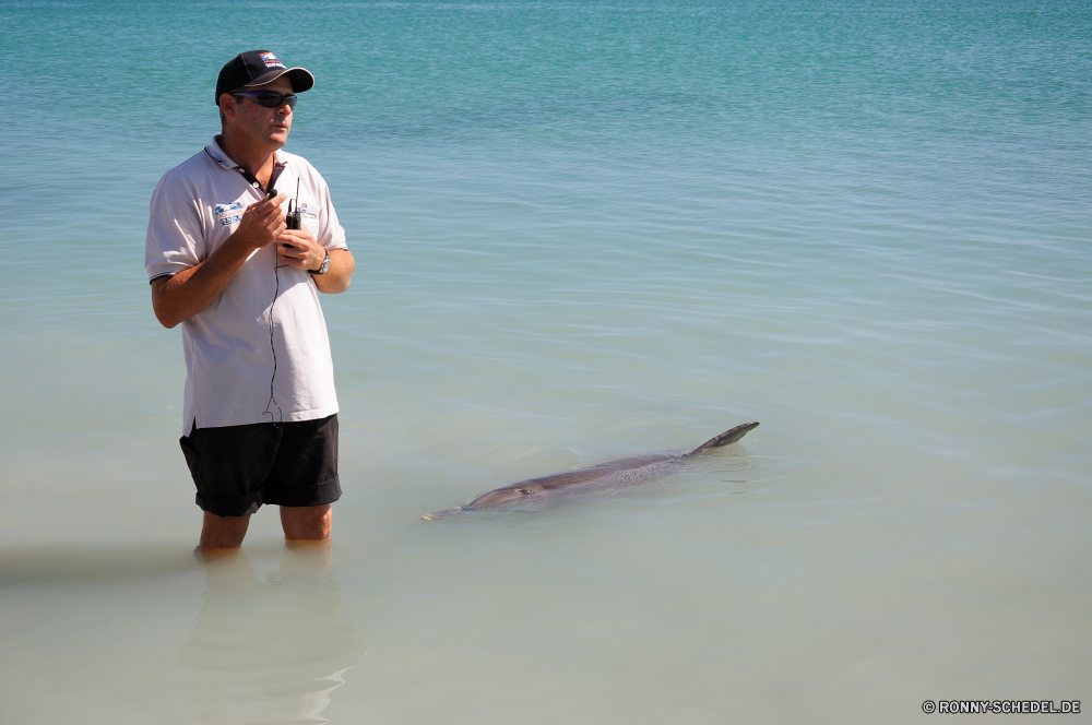 Shark Bay Knochenhecht Strand Meer Fanggeräte Ozean Barrakudas Wasser spiny-finned fish Fisch Mann Zahnrad Urlaub Sommer Sand Männchen Ausrüstung Spaß Menschen Lebensstil Urlaub Sport im freien Wellen Freizeit Himmel glücklich Erwachsener Küste Erholung Aktivität Fischer Angeln Entspannung Speisefische See Person Liebe paar Tropischer zusammen zwei aktive zu Fuß Fuß Ufer Entspannen Sie sich Eignung Fluss halten im freien Küste Sonne Urlaub sonnig Lächeln leitender Glück gesund Insel entspannende Kind Übung Reisen am Meer Männer Urlaub Familie Coho Stab lächelnd Schwimmen Thunfisch Boot Freude eine bony fish gut aussehend Tag Junge Welle Porträt Surf außerhalb Jugend Hobby Sonnenuntergang gar beach sea fishing gear ocean barracuda water spiny-finned fish fish man gear vacation summer sand male equipment fun people lifestyle holiday sport outdoors waves leisure sky happy adult coast recreation activity fisherman fishing relaxation food fish lake person love couple tropical together two active walk walking shore relax fitness river holding outdoor coastline sun holidays sunny smile senior happiness healthy island relaxing child exercise travel seaside men vacations family coho rod smiling swim tuna boat joy one bony fish handsome day boy wave portrait surf outside youth hobby sunset