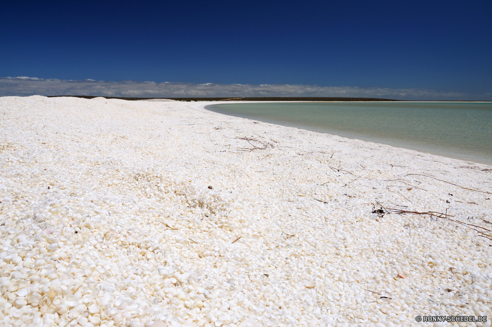 Shark Bay Sand Strand Ozean Meer Sandbank Boden Küste Wasser Düne Urlaub Bar Himmel Insel Tropischer Reisen Landschaft Erde Ufer Sommer Barrier Grat Welle Paradies Küste Urlaub seelandschaft Entspannen Sie sich Resort Sonne sonnig Horizont landschaftlich natürliche Höhe Wolke Türkis Tourismus klar Surf Entspannung im freien Wolken Wellen friedliche Wendekreis Szene Sonnenlicht sandigen ruhige Bucht Ziel Erholung exotische heiß Freizeit idyllische geologische formation Palm Baum Küste Szenerie am Meer romantische Sonnenschein Frieden Tourist Lagune Urlaub natürliche Wüste Pazifik ruhig Rest warm Ruhe im freien platsch Tag Fels Meeresküste niemand Reise Küstenlinie sand beach ocean sea sandbar soil coast water dune vacation bar sky island tropical travel landscape earth shore summer barrier ridge wave paradise coastline holiday seascape relax resort sun sunny horizon scenic natural elevation cloud turquoise tourism clear surf relaxation outdoor clouds waves peaceful tropic scene sunlight sandy tranquil bay destination recreation exotic hot leisure idyllic geological formation palm tree coastal scenery seaside romantic sunshine peace tourist lagoon vacations natural desert pacific quiet rest warm calm outdoors splash day rock seashore nobody journey shoreline