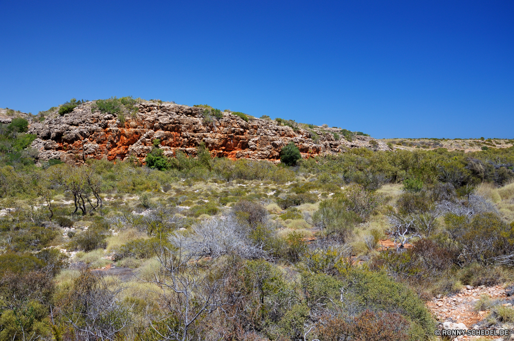 Cape Range National Park Berg Landschaft Baum Berge Himmel Reisen Fels Hochland woody plant Bereich Park Wildnis Tal vascular plant landschaftlich im freien Szenerie Sommer im freien Bäume Tourismus Wald Stein nationalen Strauch Schlucht Panorama Pflanze Spitze Fluss Gras Wasser Wolken Felsen Herbst Urlaub Straße Steigung Umgebung Entwicklung des ländlichen Hügel Wolke sonnig Landschaft Tag Saison Kiefer Wüste Abenteuer natürliche Klippe Hügel Insel Schnee fallen Wandern Landschaften Szene Frühling Aufstieg Alp Sonne Geologie felsigen außerhalb Farbe ruhige geologische formation Grat hoch Holz Ziel Stadt Tourist friedliche Land Küste Wiese Urlaub Meer Land mountain landscape tree mountains sky travel rock highland woody plant range park wilderness valley vascular plant scenic outdoors scenery summer outdoor trees tourism forest stone national shrub canyon panorama plant peak river grass water clouds rocks autumn vacation road slope environment rural hill cloud sunny countryside day season pine desert adventure natural cliff hills island snow fall hiking scenics scene spring ascent alp sun geology rocky outside color tranquil geological formation ridge high wood destination city tourist peaceful land coast meadow holiday sea country