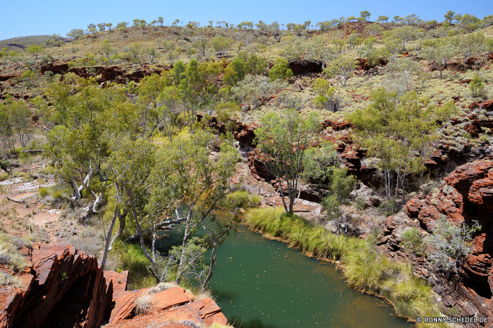 Karijini National Park Baum woody plant Landschaft vascular plant Wald Fluss Pflanze Wasser Berg Bäume Himmel landschaftlich Park Szenerie Wildnis Berge Bonsai im freien Fels im freien Sommer Entwicklung des ländlichen friedliche Stein Tal Herbst Land See Reisen Garten ruhige fallen Hölzer Gras Szene Landschaft Frühling Umgebung Belaubung white mangrove Stream natürliche Wolken Kiefer Teich Wandern bunte Hügel nationalen Farbe Land Pflanzen Tourismus Kanal Reflexion Landschaften Blätter Blatt Strauch Wild Wolke Saison Feld Ruhe Sonne Spitze Blumen Körper des Wassers Bereich Insel Frieden Straße Wiese Sonnenlicht Sand Tag sonnig Blume Pfad idyllische Felsen Holz Branch Urlaub Ufer tree woody plant landscape vascular plant forest river plant water mountain trees sky scenic park scenery wilderness mountains bonsai outdoors rock outdoor summer rural peaceful stone valley autumn country lake travel garden tranquil fall woods grass scene countryside spring environment foliage white mangrove stream natural clouds pine pond hiking colorful hill national color land plants tourism channel reflection scenics leaves leaf shrub wild cloud season field calm sun peak flowers body of water range island peace road meadow sunlight sand day sunny flower path idyllic rocks wood branch holiday shore