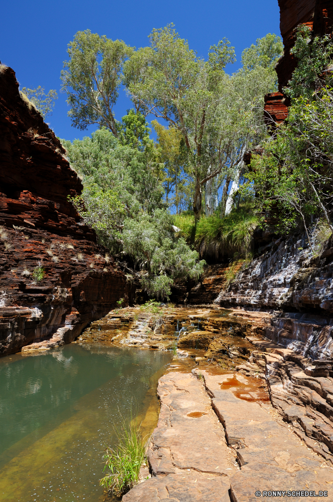 Karijini National Park Baum Fluss Wald Landschaft woody plant Wasser Berg Bäume Fels Park vascular plant Stein Stream im freien Reisen Berge Umgebung landschaftlich See Kiefer Szenerie natürliche Wildnis im freien Sommer Tal Wasserfall nationalen fallen Pflanze Herbst Himmel Land Belaubung Eukalyptus Gras Hölzer Felsen Creek Frühling friedliche Schlucht Wild ruhige Wolken Tourismus Kanal Klippe Wandern Gum-Baum Szene Sonnenlicht Saison Entwicklung des ländlichen Urlaub frisch Sonne klar Strömung Landschaft nass felsigen Blätter Körper des Wassers Blatt Holz Spitze gelassene fließende Sumpf Frieden Moos Reflexion Kofferraum Land üppige Landschaften sonnig Tag Hügel Ruhe Wanderweg hoch Teich Steine Feuchtgebiet Ökologie Insel Schlucht Schnee southern beech Farben bunte Wolke Paradies Reise Reinigen frische Luft tree river forest landscape woody plant water mountain trees rock park vascular plant stone stream outdoor travel mountains environment scenic lake pine scenery natural wilderness outdoors summer valley waterfall national fall plant autumn sky land foliage eucalyptus grass woods rocks creek spring peaceful canyon wild tranquil clouds tourism channel cliff hiking gum tree scene sunlight season rural vacation fresh sun clear flow countryside wet rocky leaves body of water leaf wood peak serene flowing swamp peace moss reflection trunk country lush scenics sunny day hill calm trail high pond stones wetland ecology island ravine snow southern beech colors colorful cloud paradise journey clean freshness