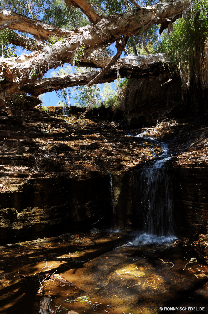 Karijini National Park Sumpf Fluss Feuchtgebiet Wasser Höhle Landschaft Baum Wald Stream Land Fels Stein geologische formation Berg Wasserfall Park Creek im freien natürliche Umgebung Frühling fallen Reisen Bäume Szenerie landschaftlich Kanal Kaskade Herbst friedliche Wild Tourismus Hölzer Moos Wildnis im freien Felsen Körper des Wassers Pflanze Sommer Schlucht felsigen Wandern Saison Strömung nass woody plant Entwicklung des ländlichen frisch Szene Belaubung Urlaub fließende Berge See Drop ruhige Blatt Blätter klar gelassene Gras nationalen Reinigen Holz bunte Wanderung Extreme Himmel Brücke Ruhe gelb Kiefer Sand Regen platsch Klippe Landschaft glatte Sonnenlicht rasche Flüsse Sonne vascular plant Farben Geologie Wanderweg entfernten Bewuchs Steine Bewegung Garten Farbe frische Luft Eis Ökologie Frieden Tal Sandstein durch sonnig Kofferraum Bewegung Abenteuer Geschwindigkeit Küste Schatten Land swamp river wetland water cave landscape tree forest stream land rock stone geological formation mountain waterfall park creek outdoor natural environment spring fall travel trees scenery scenic channel cascade autumn peaceful wild tourism woods moss wilderness outdoors rocks body of water plant summer canyon rocky hiking season flow wet woody plant rural fresh scene foliage vacation flowing mountains lake drop tranquil leaf leaves clear serene grass national clean wood colorful hike extreme sky bridge calm yellow pine sand rain splash cliff countryside smooth sunlight rapid rivers sun vascular plant colors geology trail remote vegetation stones movement garden color freshness ice ecology peace valley sandstone through sunny trunk motion adventure speed coast shadow country