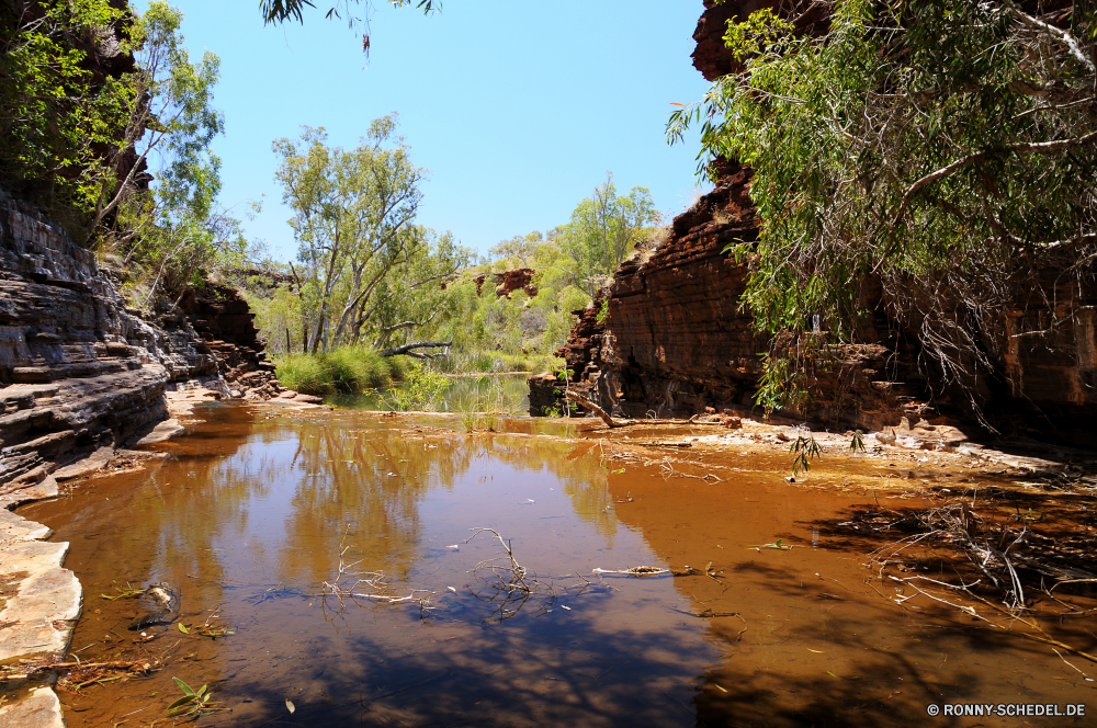 Karijini National Park Baum Fluss Landschaft Wald Wasser See Kanal Himmel Bäume Land landschaftlich Körper des Wassers Reflexion Park im freien Szenerie woody plant Reisen Sumpf Berg Sommer Gras ruhige Fels Kiefer Umgebung Wildnis Berge Ufer Wolken vascular plant Tourismus Feuchtgebiet Pflanze Wolke Teich im freien Entwicklung des ländlichen Tal natürliche Urlaub Holz Herbst Szene nationalen fallen Stein Landschaften Hölzer Sonne Strand idyllische klar Wild Frühling Insel friedliche Küste Sonnenlicht am See Ruhe Landschaft Stream sonnig Saison Land Farbe gelassene bunte Belaubung Erholung Blatt Sonnenuntergang Klippe malerische niemand England Entspannen Sie sich Boot Feld Küste Brücke Horizont Wiese Urlaub Schlucht Meer Ozean tree river landscape forest water lake channel sky trees land scenic body of water reflection park outdoors scenery woody plant travel swamp mountain summer grass tranquil rock pine environment wilderness mountains shore clouds vascular plant tourism wetland plant cloud pond outdoor rural valley natural vacation wood autumn scene national fall stone scenics woods sun beach idyllic clear wild spring island peaceful coast sunlight lakeside calm countryside stream sunny season country color serene colorful foliage recreation leaf sunset cliff picturesque nobody england relax boat field coastline bridge horizon meadow holiday canyon sea ocean