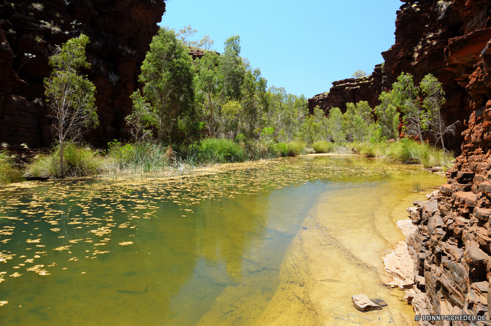 Karijini National Park Wald Landschaft Fluss Wasser Kanal Baum Körper des Wassers Bäume Park Land See Stream landschaftlich Himmel Gras Sommer Teich Berg im freien Reflexion Umgebung Entwicklung des ländlichen ruhige im freien Reisen Szenerie Sumpf Tal natürliche Frühling Belaubung Wildnis fallen Hölzer Stein Tourismus Blatt Ufer Herbst Berge Landschaft Fels Szene Wolken Felsen Pflanze Sonne Schlucht Feuchtgebiet nationalen am See Farbe Barrier üppige Land klar Brücke Landschaften natürliche depression England Schlucht friedliche Entspannung Feld bunte Kiefer woody plant Wild idyllische Reinigen Holz Insel Ruhe Sand Sonnenlicht geologische formation ruhig Tag Busch Wolke Becken Entspannen Sie sich fließende Küste Wiese Erholung Dam Creek Meer Saison Gelände sonnig Bereich Ozean Garten Paradies Küste Sandbank Urlaub Strand vascular plant Klippe niemand forest landscape river water channel tree body of water trees park land lake stream scenic sky grass summer pond mountain outdoors reflection environment rural tranquil outdoor travel scenery swamp valley natural spring foliage wilderness fall woods stone tourism leaf shore autumn mountains countryside rock scene clouds rocks plant sun canyon wetland national lakeside color barrier lush country clear bridge scenics natural depression england ravine peaceful relaxation field colorful pine woody plant wild idyllic clean wood island calm sand sunlight geological formation quiet day bush cloud basin relax flowing coast meadow recreation dam creek sea season terrain sunny area ocean garden paradise coastline sandbar vacation beach vascular plant cliff nobody