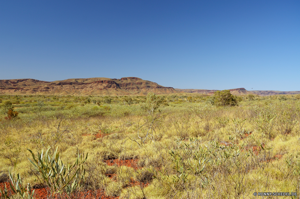 Karijini National Park Landschaft Hochland Himmel Berg Knoll Gras Feld Land Steppe Hügel Baum Strauch Wiese Berge landschaftlich Sommer Szenerie Reiner Reisen Pflanze im freien Wald Heide woody plant Park Wolken Entwicklung des ländlichen Wolke vascular plant Landschaft Wüste Landwirtschaft Umgebung Spitze im freien Wildnis sonnig Frühling trocken nationalen Bereich Tourismus Fels Szene friedliche Tal Herbst Land Sonne natürliche Wasser Horizont gelb Tag Bauernhof Panorama Wild Belaubung Saison Flora Heu Bewuchs Ernte Hügel Bäume Gelände Aussicht Felder Pfad Felsen Blatt Pflanzen Ökologie Sonnenuntergang Fluss Sand Hügel Kraut gelassene bewölkt Stein Weizen ruhige Wetter fallen Straße Licht außerhalb Landbau Urlaub Farbe Steigung landscape highland sky mountain knoll grass field land steppe hill tree shrub meadow mountains scenic summer scenery plain travel plant outdoors forest heath woody plant park clouds rural cloud vascular plant countryside desert agriculture environment peak outdoor wilderness sunny spring dry national range tourism rock scene peaceful valley autumn country sun natural water horizon yellow day farm panorama wild foliage season flora hay vegetation harvest mound trees terrain vista fields path rocks leaf plants ecology sunset river sand hills herb serene cloudy stone wheat tranquil weather fall road light outside farming vacation color slope