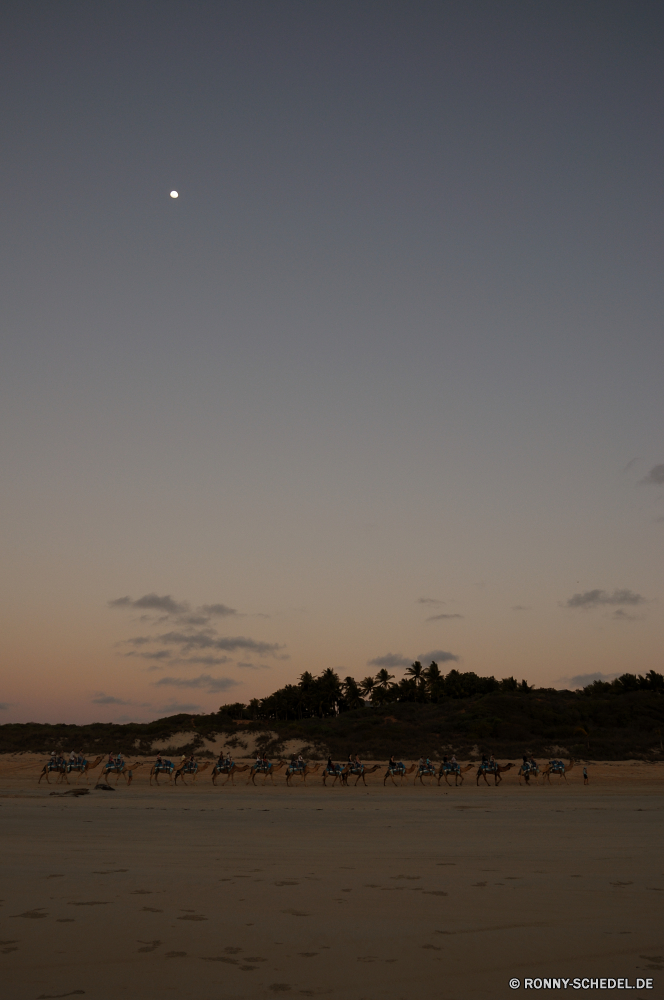 Broome - Cable Beach Himmel Landschaft Atmosphäre Sonnenuntergang Strand Sonne Wolken Düne Horizont Wolke Reisen Meer Sonnenaufgang Baum Küstenlinie Dämmerung Sand Berg 'Nabend im freien Sommer Ozean im freien landschaftlich Wasser Tourismus Szenerie Szene Orange Wald Bäume natürliche Land Land Wüste Umgebung See ruhige Kontur Urlaub Hügel Insel am Morgen Bereich Küste Morgenröte Park Berge Ruhe Feld Fluss seelandschaft Golden außerhalb Tag friedliche Landschaft Hochland Wolkengebilde Gras Licht gelb Frieden Wildnis Sonnenlicht Entwicklung des ländlichen Wild einsam Tal sonnig kalt Urlaub Saison Abenteuer Tropischer Küste Wetter Ökologie Herbst bunte hell Fels Hügel Himmel Pflanze Traum Boot Beleuchtung Schnee Tourist Nacht sky landscape atmosphere sunset beach sun clouds dune horizon cloud travel sea sunrise tree shoreline dusk sand mountain evening outdoor summer ocean outdoors scenic water tourism scenery scene orange forest trees natural country land desert environment lake tranquil silhouette vacation hill island morning range coast dawn park mountains calm field river seascape golden outside day peaceful countryside highland cloudscape grass light yellow peace wilderness sunlight rural wild lonely valley sunny cold holiday season adventure tropical coastline weather ecology autumn colorful bright rock hills heaven plant dream boat lighting snow tourist night