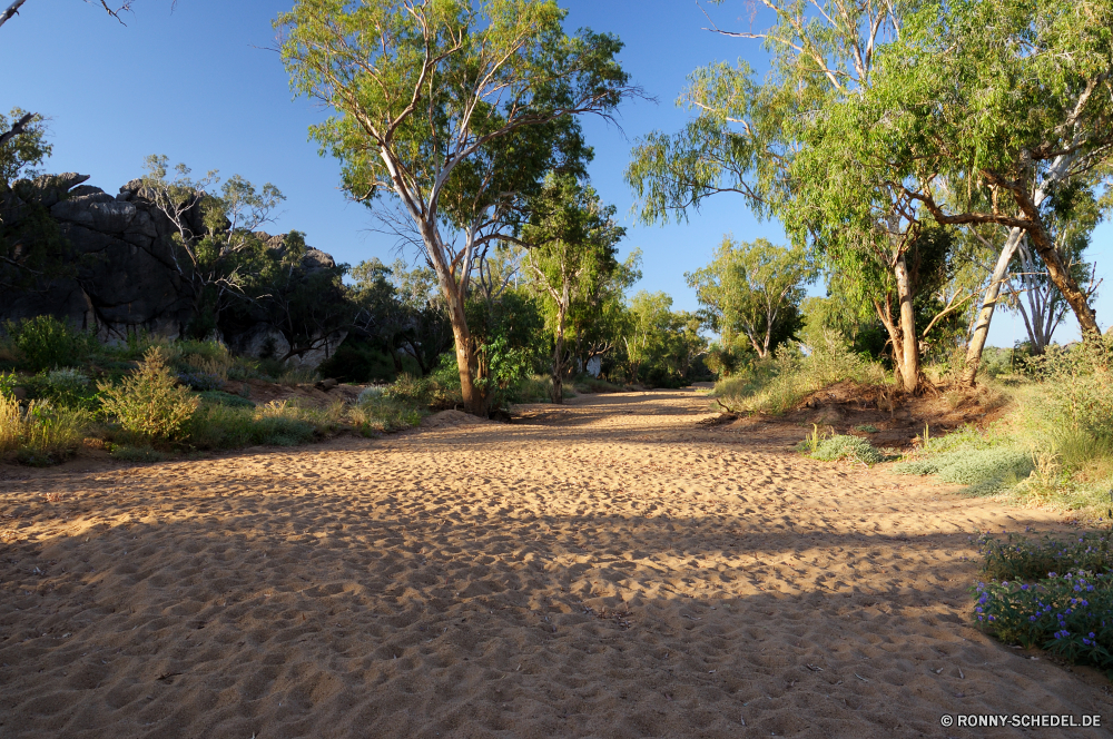 Geikie Gorge Baum woody plant vascular plant Landschaft Himmel Entwicklung des ländlichen Pflanze Feld Bäume Gras Land Sommer Wolken landschaftlich Wald im freien Landschaft Sonne Park Wolke Saison Straße Szenerie Reisen Strand Bauernhof Sand Wiese natürliche Landwirtschaft sonnig im freien Frühling Holz Umgebung bewölkt Szene Insel Wasser Horizont Küste Meer Blatt Land friedliche Ufer Blätter Eiche Paradies Kiefer Branch Sonnenlicht Urlaub Landbau Tropischer Tag Urlaub Tourismus Wildnis Berg Weide Kastanie Ozean Herbst Ackerland Wild Zweige idyllische Ruhe nationalen klar Spur landwirtschaftlichen Hügel Landschaften Hölzer Pfad Garten Palm Frieden ruhige fallen Farbe saisonale tree woody plant vascular plant landscape sky rural plant field trees grass country summer clouds scenic forest outdoor countryside sun park cloud season road scenery travel beach farm sand meadow natural agriculture sunny outdoors spring wood environment cloudy scene island water horizon coast sea leaf land peaceful shore leaves oak paradise pine branch sunlight vacation farming tropical day holiday tourism wilderness mountain pasture chestnut ocean autumn farmland wild branches idyllic calm national clear lane agricultural hills scenics woods path garden palm peace tranquil fall color seasonal