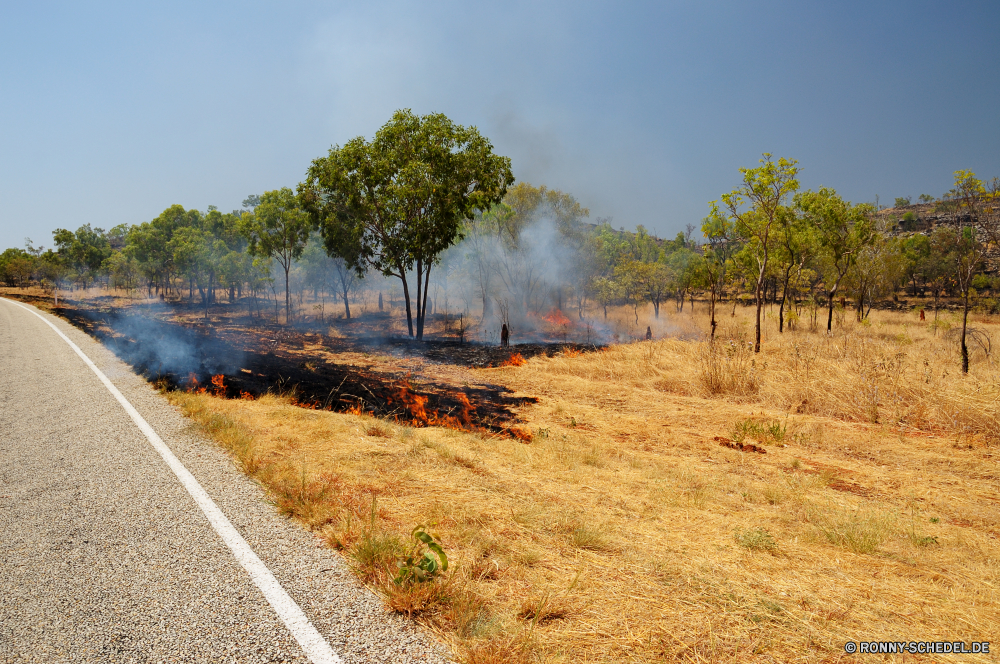 Don't smoke, unless you are on fire Track Landschaft Entwicklung des ländlichen Land Himmel Feld Baum Gras Straße Herbst Landschaft Bauernhof Sommer im freien Horizont Bäume Wolken Wald Wiese landschaftlich Landwirtschaft sonnig fallen Land Reisen Eisenbahn Art und Weise Transport im freien Wolke Sonne Szenerie Schienen Eisenbahn Ackerland Landbau bewölkt Park Saison Pfad gelb Industrie Tag alt Ernte Felder Sonnenlicht Pflanze Berg Blätter Golden Farbe Verkehr am Morgen Frühling natürliche landwirtschaftlichen rostige Szene Blatt Zaun Branch Wetter Sonnenuntergang Umgebung Wild Landschaften Hügel Stein See Krawatte Stahl Schiene Weingut Wolkengebilde niemand Lokomotive Heu Perspektive Sonnenaufgang Korn Holz Industrielle Küste Wachstum Nebel außerhalb Zug Rebe Bereich Reise Ernte Auto Licht Linien Flora Fahrzeug track landscape rural country sky field tree grass road autumn countryside farm summer outdoor horizon trees clouds forest meadow scenic agriculture sunny fall land travel railway way transportation outdoors cloud sun scenery rails railroad farmland farming cloudy park season path yellow industry day old harvest fields sunlight plant mountain leaves golden color transport morning spring natural agricultural rusty scene leaf fence branch weather sunset environment wild scenics hill stone lake tie steel rail vineyard cloudscape nobody locomotive hay perspective sunrise grain wood industrial coast growth fog outside train vine area journey crop car light lines flora vehicle