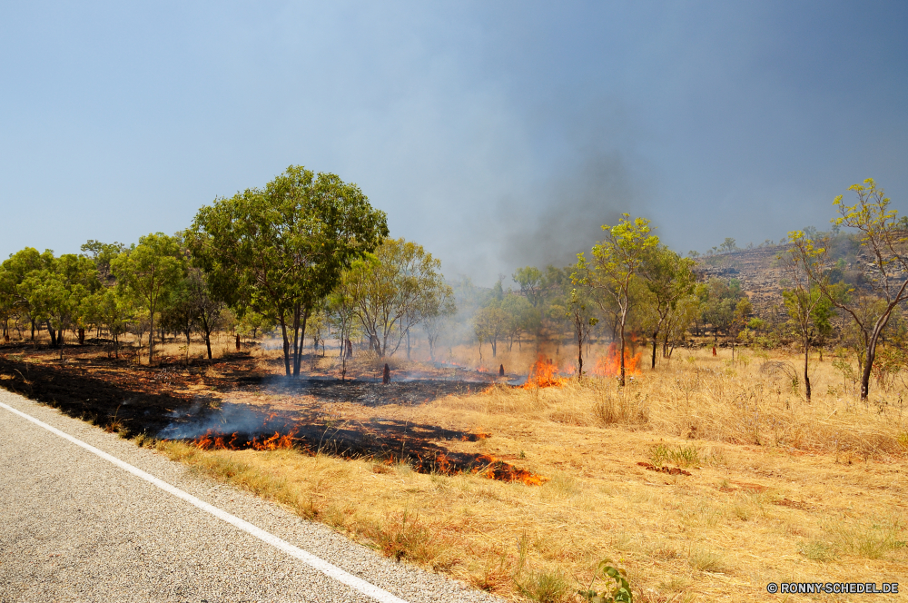 Don't smoke, unless you are on fire Raps Baum Landschaft Ölsaaten Entwicklung des ländlichen Herbst Samen Himmel Gras Feld Land Wald Landschaft fallen Saison Bäume gelb Szenerie Wiese im freien im freien Bauernhof Sommer Pappel landschaftlich Landwirtschaft Wolken Obst Park Horizont Pflanze natürliche bunte Blatt Szene Land woody plant Umgebung Sonne bewölkt Orange Belaubung Blätter Flora Sonnenlicht Track sonnig Farbe Wolke Wolkengebilde Landbau Golden Straße vascular plant außerhalb Ackerland Frühling Tag klar friedliche Branch Holz Hügel Licht ruhige Zaun Sonnenuntergang saisonale Weide hell idyllische Reisen See Wetter Wurm-Zaun Wasser Felder Sonnenaufgang Hölzer Birke Pfad Ernte Ökologie Frieden landwirtschaftlichen Zweige Zaun Eiche niemand Rasen Atmosphäre Berg Fluss Farben frisch Bewuchs ruhig Landschaften Garten wachsen Pflanzen Boden am Morgen Ahorn rapeseed tree landscape oilseed rural autumn seed sky grass field country forest countryside fall season trees yellow scenery meadow outdoor outdoors farm summer poplar scenic agriculture clouds fruit park horizon plant natural colorful leaf scene land woody plant environment sun cloudy orange foliage leaves flora sunlight track sunny color cloud cloudscape farming golden road vascular plant outside farmland spring day clear peaceful branch wood hill light tranquil fence sunset seasonal pasture bright idyllic travel lake weather worm fence water fields sunrise woods birch path harvest ecology peace agricultural branches rail fence oak nobody lawn atmosphere mountain river colors fresh vegetation quiet scenics garden grow plants ground morning maple