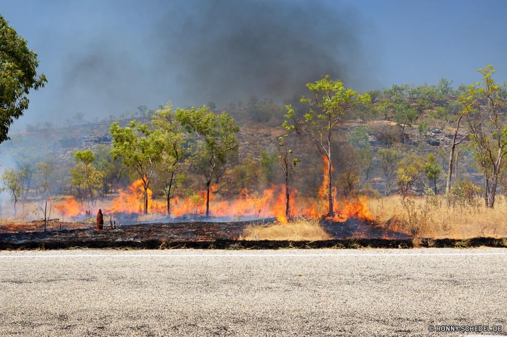 Don't smoke, unless you are on fire Baum Herbst fallen Landschaft woody plant Park Bäume Wald gelb vascular plant Saison Himmel Szenerie Blatt Belaubung Blätter Orange Pflanze Landschaft im freien landschaftlich im freien Entwicklung des ländlichen Szene Golden Farbe Branch Gras bunte Hölzer Flora Feld natürliche Wasser Sonne Akazie Farben See Umgebung Ahorn Holz friedliche Land Berg saisonale Wolken Straße Land hell ruhige am Morgen Strauch Licht Reisen sonnig Boden Frieden Sonnenuntergang Wiese Landwirtschaft Pfad Braun Rest Entspannen Sie sich Horizont Tourismus Waldland Sonnenlicht Fluss Birke warm Ruhe Gold Textfreiraum Herbstfarben Track Blätter Jahreszeiten Zweige Teich Tag bewölkt Sonnenaufgang Hügel Sommer Leuchten Bergahorn Wedel klar Fels Nebel Winter Maschine Ernte Ökologie Heu Garten tree autumn fall landscape woody plant park trees forest yellow vascular plant season sky scenery leaf foliage leaves orange plant countryside outdoor scenic outdoors rural scene golden color branch grass colorful woods flora field natural water sun acacia colors lake environment maple wood peaceful country mountain seasonal clouds road land bright tranquil morning shrub light travel sunny ground peace sunset meadow agriculture path brown rest relax horizon tourism woodland sunlight river birch warm calm gold copy space autumnal track leafs seasons branches pond day cloudy sunrise hill summer shine sycamore frond clear rock fog winter machine harvest ecology hay garden