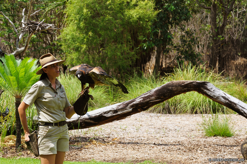 Territory Wildlife Park Baum Jäger im freien Mann Wald woody plant im freien Pflanze Männchen Person Gras Landschaft Menschen vascular plant Wasser Sommer Park Erwachsener Fluss Freizeit Waffe alt Garten Frühling Tag Pistole Bäume Gewehr Frauen Vogel Lebensstil Hobby glücklich Sport Landwirt aktive Erholung An Entwicklung des ländlichen natürliche lächelnd Hut Feld Holz Spaß Umgebung Arbeiten Wildnis Arbeit Junge Kerl Dschungel sitzen Kind leitender wachsen Urlaub See Sonne Bauernhof Berg Glück Landwirtschaft tree hunter outdoors man forest woody plant outdoor plant male person grass landscape people vascular plant water summer park adult river leisure weapon old garden spring day gun trees rifle women bird lifestyle hobby happy sport farmer active recreation to rural natural smiling hat field wood fun environment working wilderness work boy guy jungle sitting child senior grow vacation lake sun farm mountain happiness agriculture