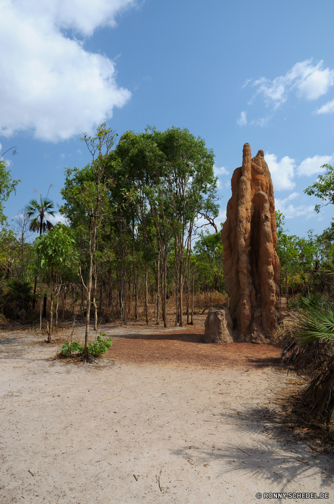 Litchfield National Park Baum woody plant vascular plant Wald Pflanze Landschaft Park Bäume Reisen Himmel Umgebung Hölzer im freien Kofferraum Berg nationalen Sommer im freien Belaubung Blätter natürliche Tourismus landschaftlich Kiefer Szenerie Gras Holz Blatt Wildnis Entwicklung des ländlichen Herbst Baumstumpf Urlaub Sonne Megalith Tropischer Sand Fels sonnig Branch Mahagoni Saison Wandern Land Knoll Meer cork tree Wanderweg Zweige üppige Eukalyptus Tag Gedenkstätte Stein Insel Garten Licht Wasser Wahrzeichen Sonnenlicht alt Antike Wüste Wolke Pfad Frühling Wolken Orange Landschaft fallen Feigenbaum immergrün Dschungel Westen Bewuchs gelb Zustand Strand Felsen Ozean Rinde Ruhe Frieden ruhige bunte Szene westliche Bereich Struktur groß Hügel Braun Neu Küste Erholung hell Wachstum tree woody plant vascular plant forest plant landscape park trees travel sky environment woods outdoor trunk mountain national summer outdoors foliage leaves natural tourism scenic pine scenery grass wood leaf wilderness rural autumn snag vacation sun megalith tropical sand rock sunny branch mahogany season hiking country knoll sea cork tree trail branches lush eucalyptus day memorial stone island garden light water landmark sunlight old ancient desert cloud path spring clouds orange countryside fall fig tree evergreen jungle west vegetation yellow state beach rocks ocean bark calm peace tranquil colorful scene western area structure tall hill brown new coast recreation bright growth